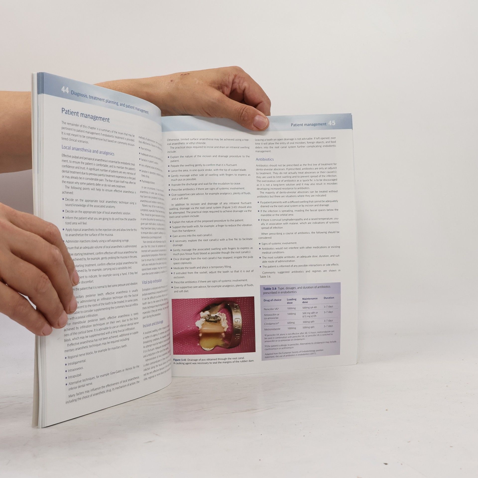 Shanon Patel The Principles of Endodontics - Third Edition