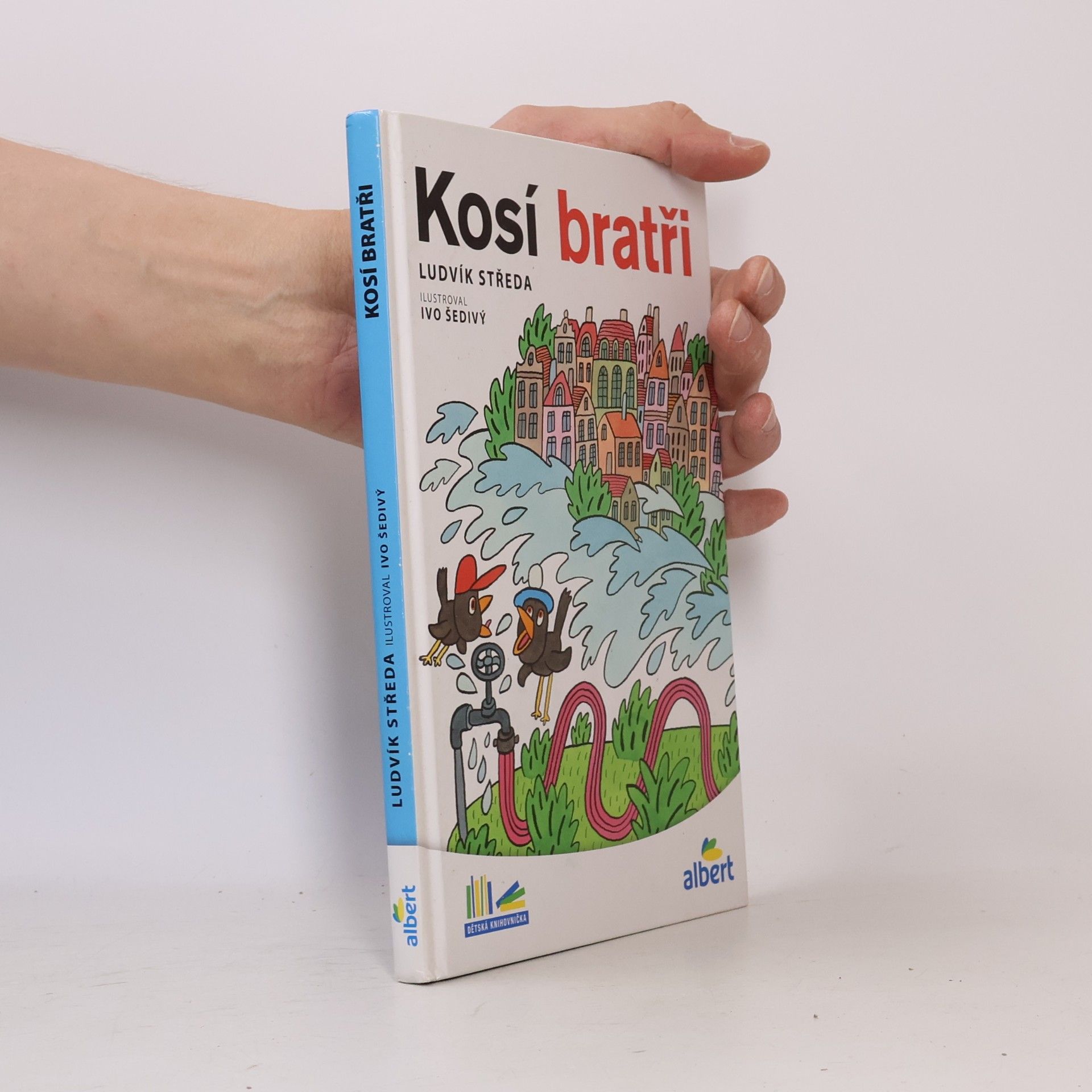 Ludvík Středa Kosí bratři