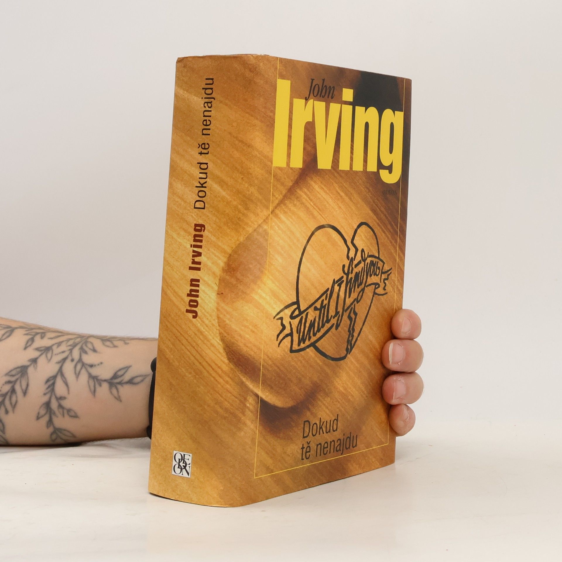 John Irving Dokud tě nenajdu