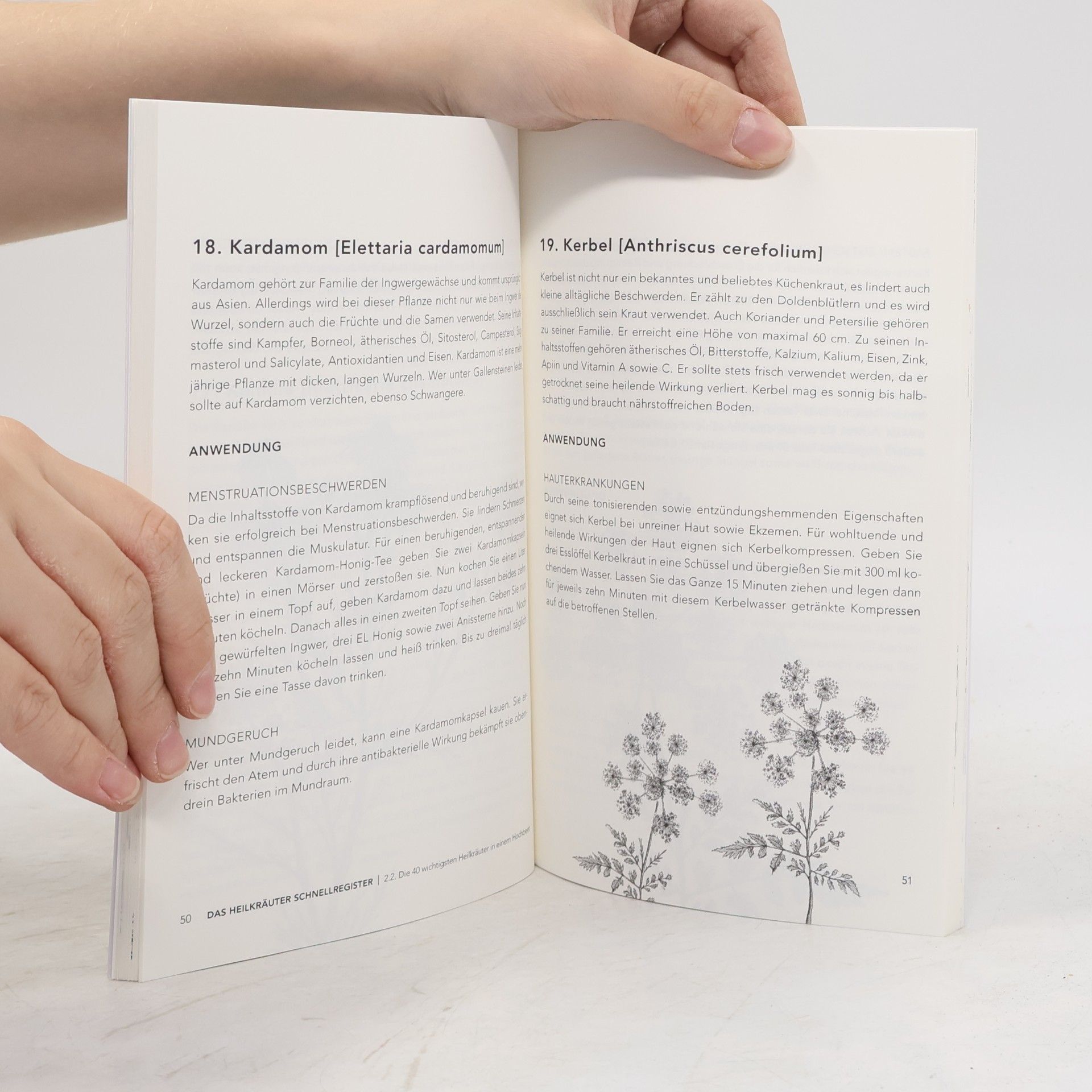 Elisabeth Thiele Das besondere Hochbeet Buch - Mit der cleveren Heilkräuter Apotheke durchs Jahr
