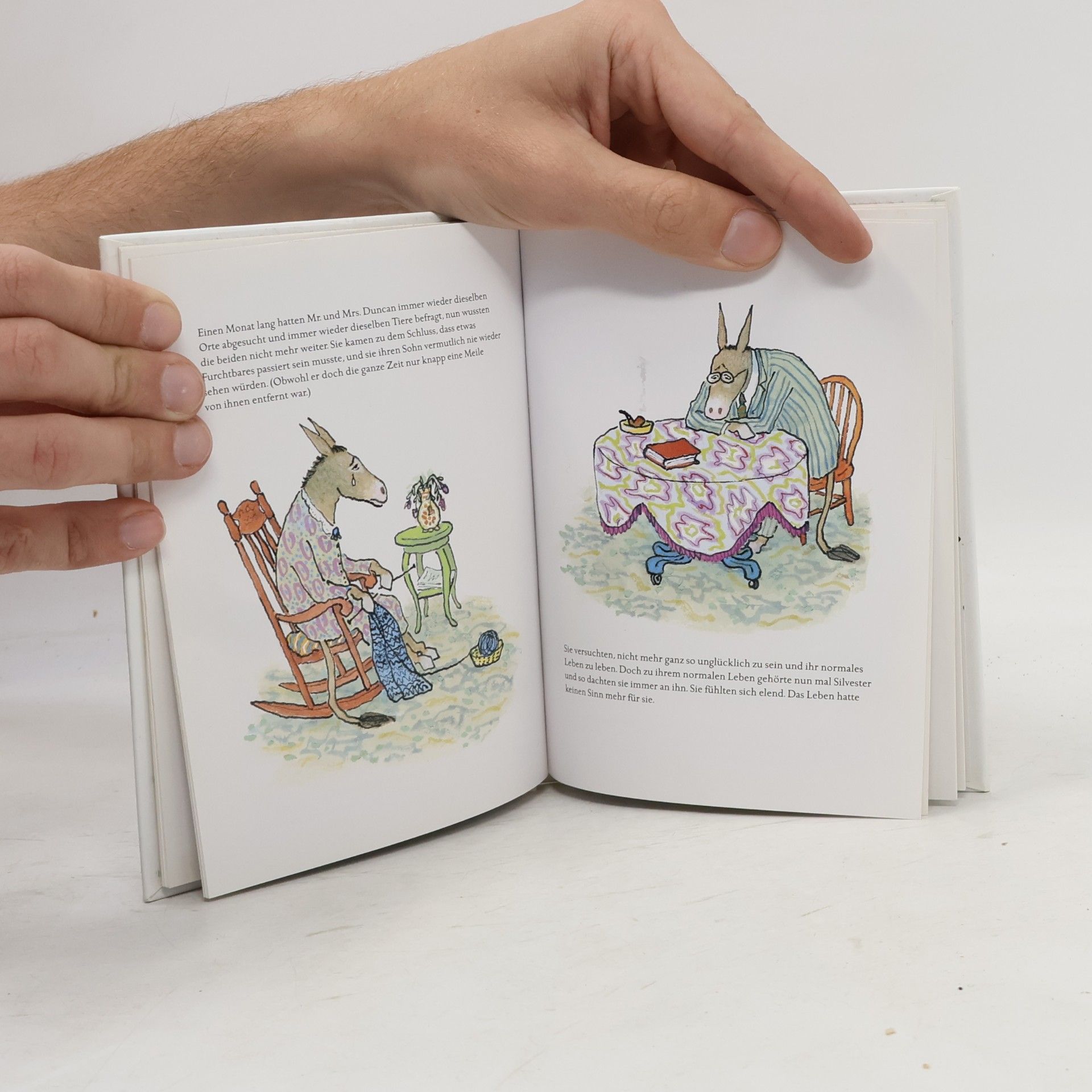 William Steig Silvester und der Zauberstein