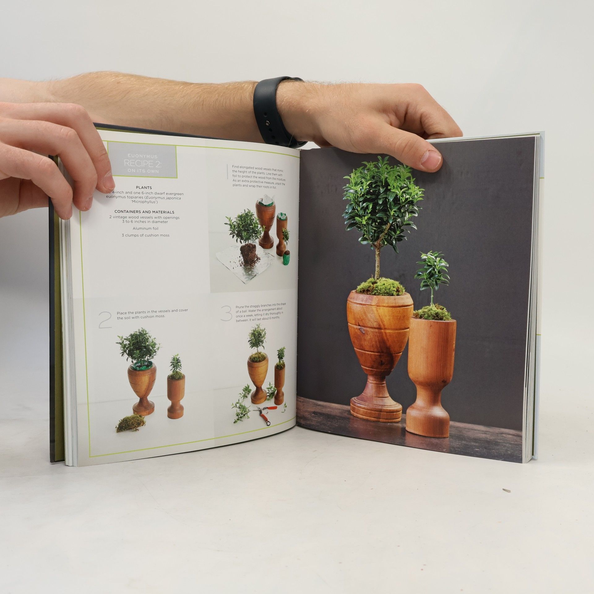 Baylor Chapman Plant Recipe Book