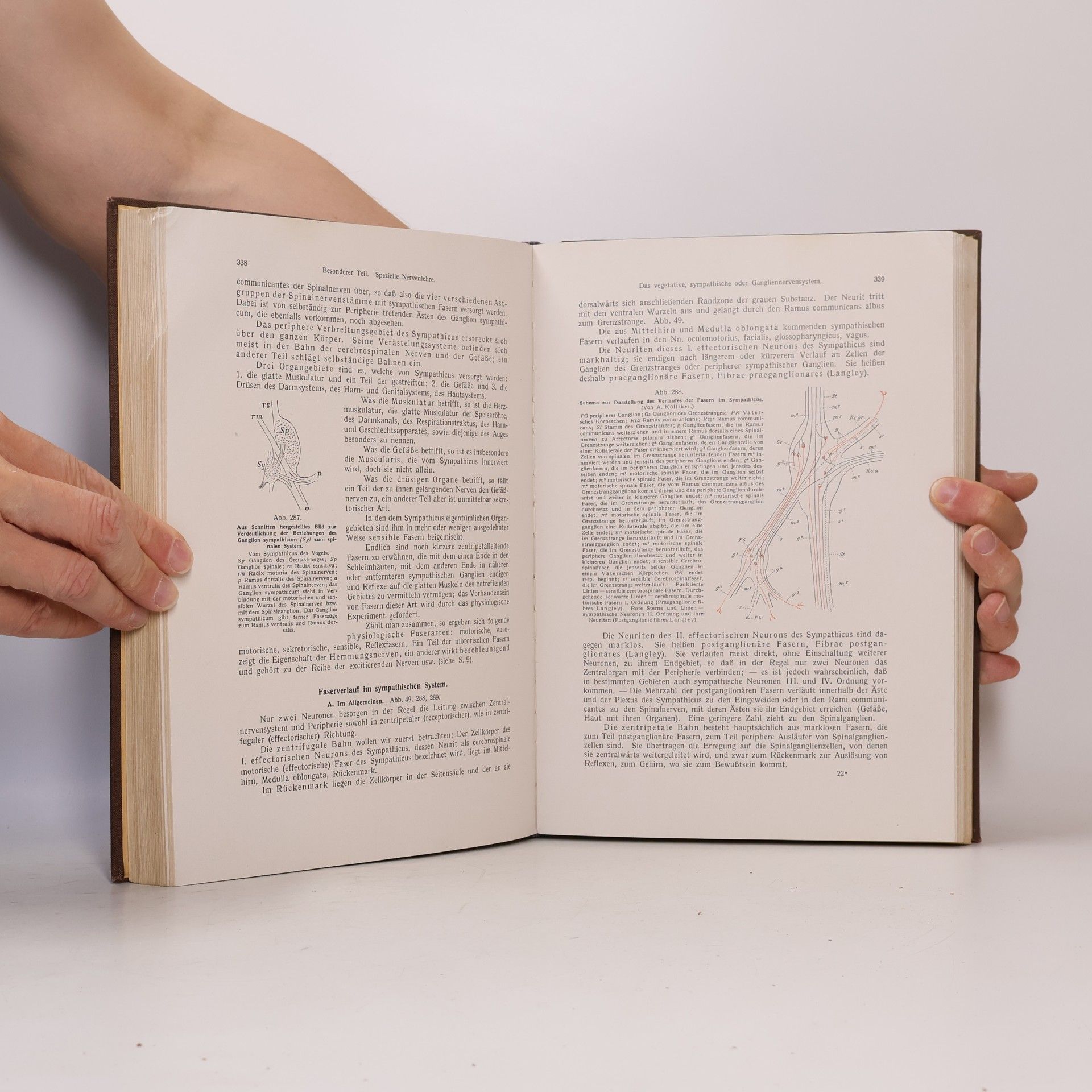 Friedrich Kopsch Lehrbuch und Atlas der Anatomie des Menschen (Band III)