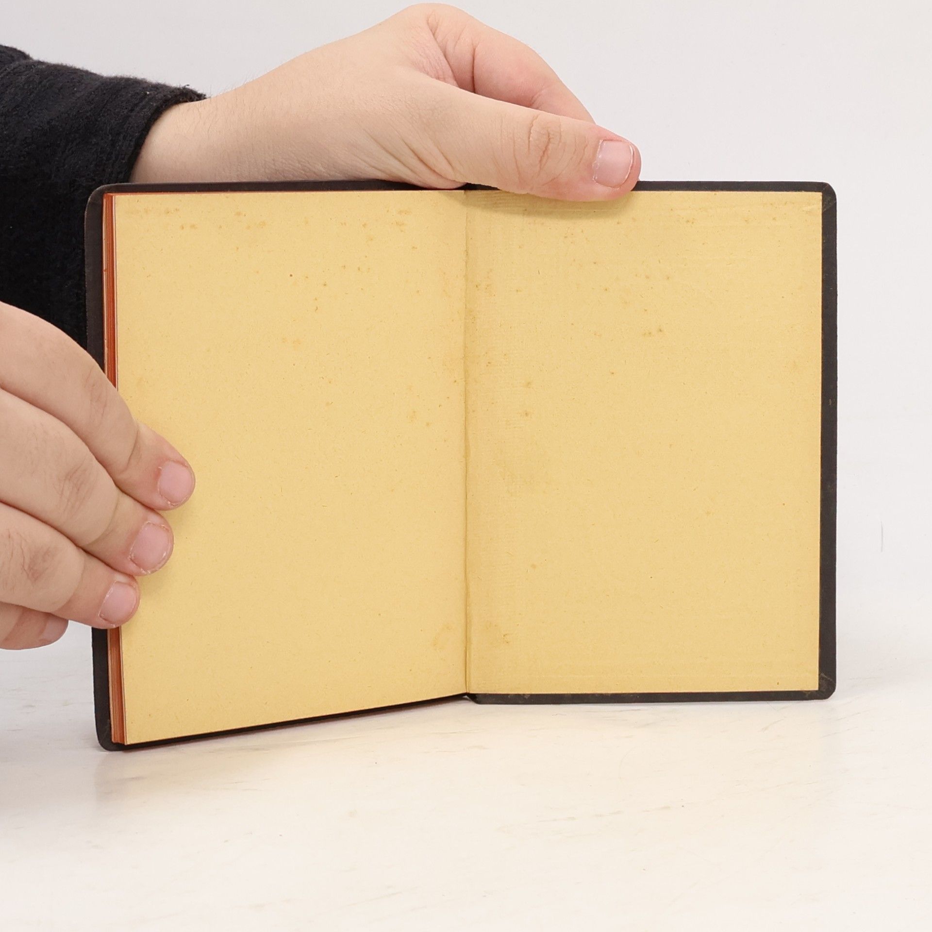 AA.VV. Manuale ministri dei infirmos ac moribundos visitantis