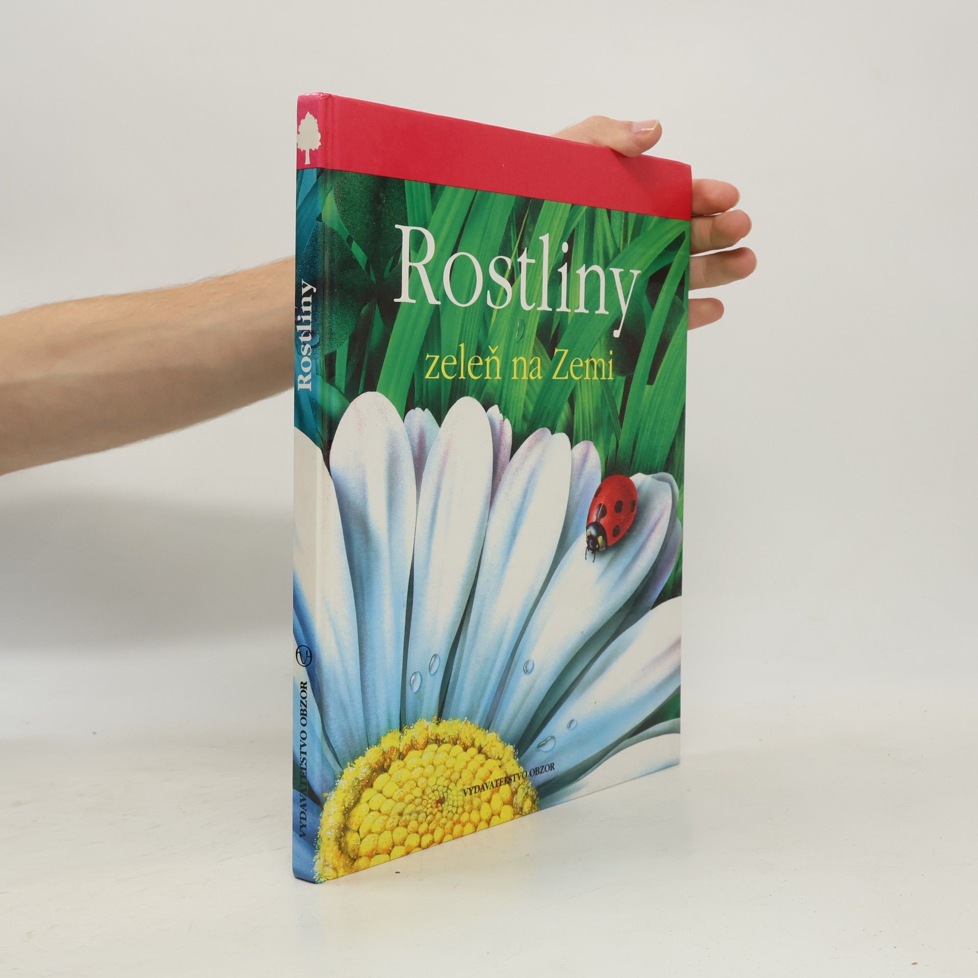 Lucia Benedittiová Rostliny. Zeleň na zemi
