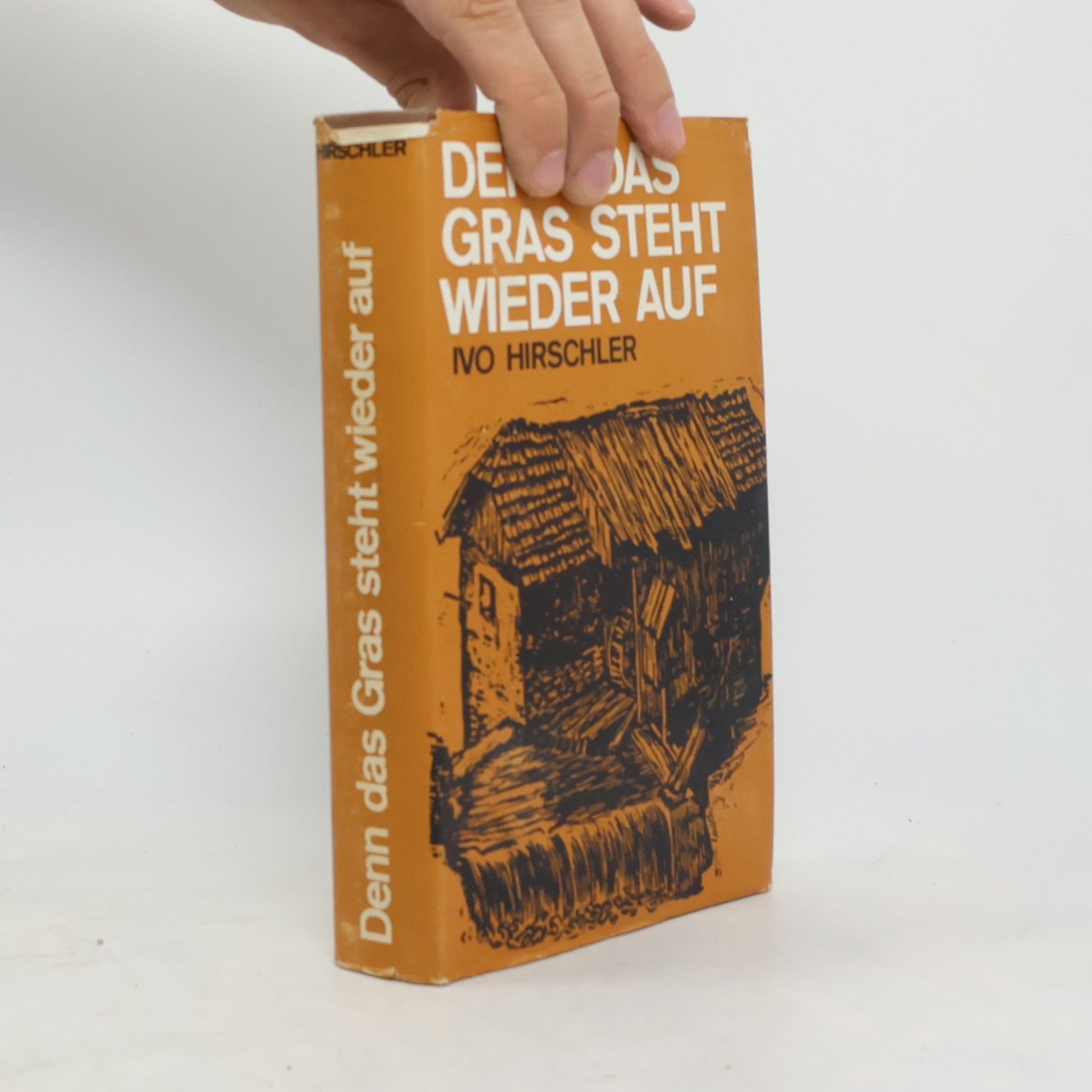 Ivo Hirschler Denn das Gras steht wieder auf