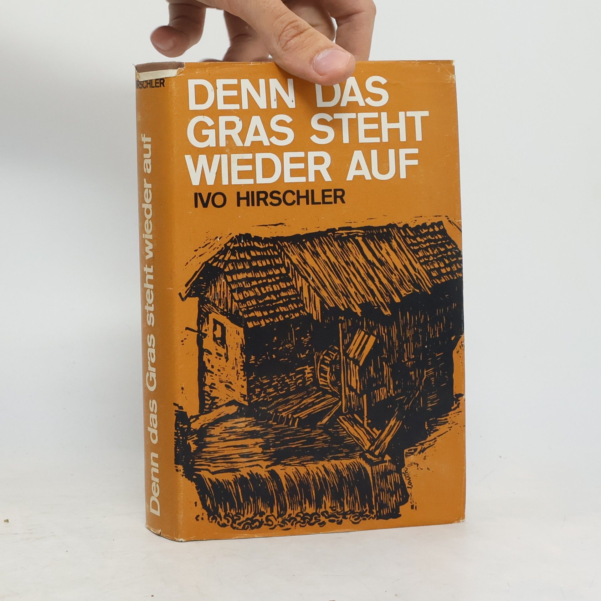 Ivo Hirschler Denn das Gras steht wieder auf