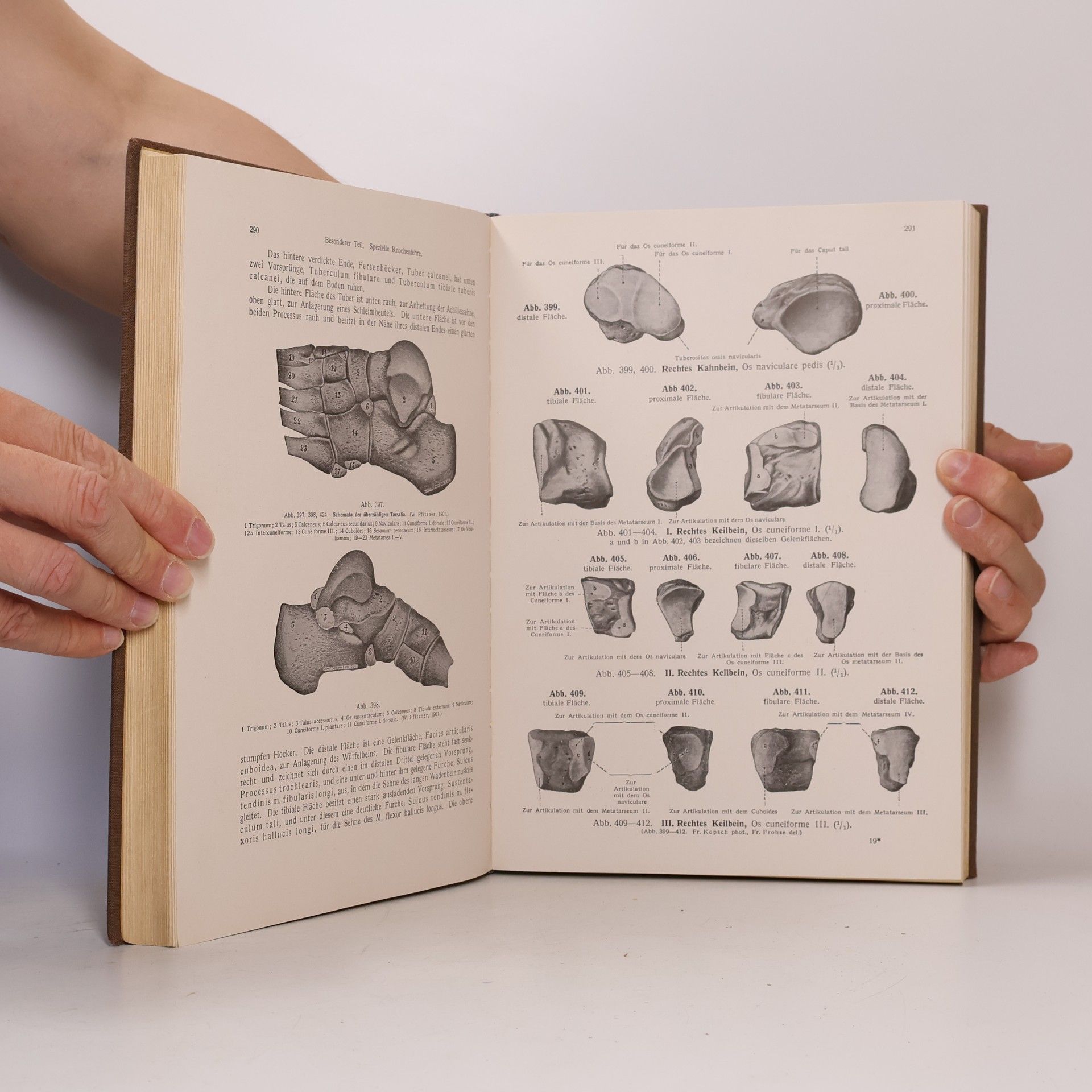 Friedrich Kopsch Lehrbuch und Atlas der Anatomie des Menschen I