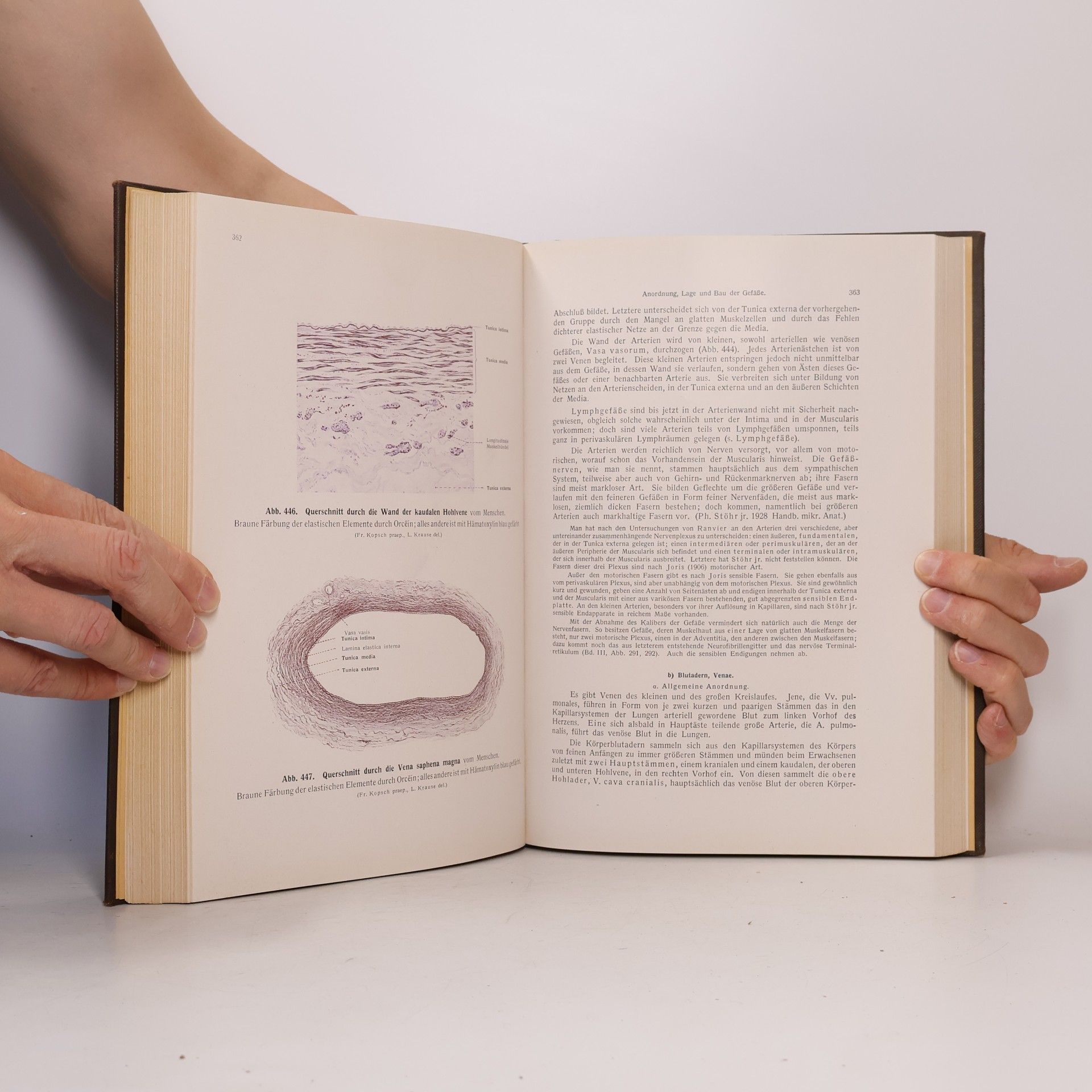 Friedrich Kopsch Lehrbuch und Atlas der Anatomie des Menschen II. Eingeweide - Gefässe