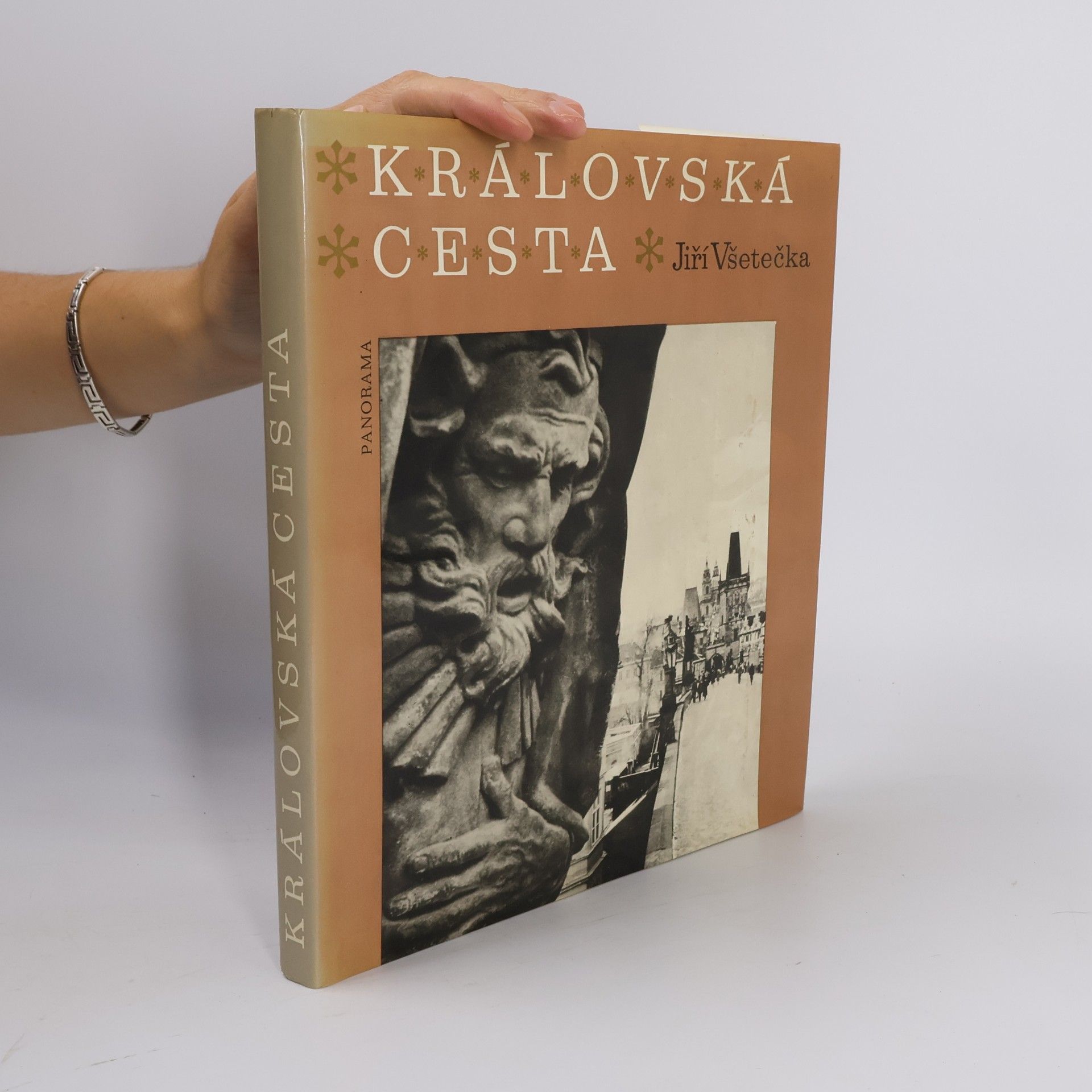 Jiří Všetečka Královská cesta