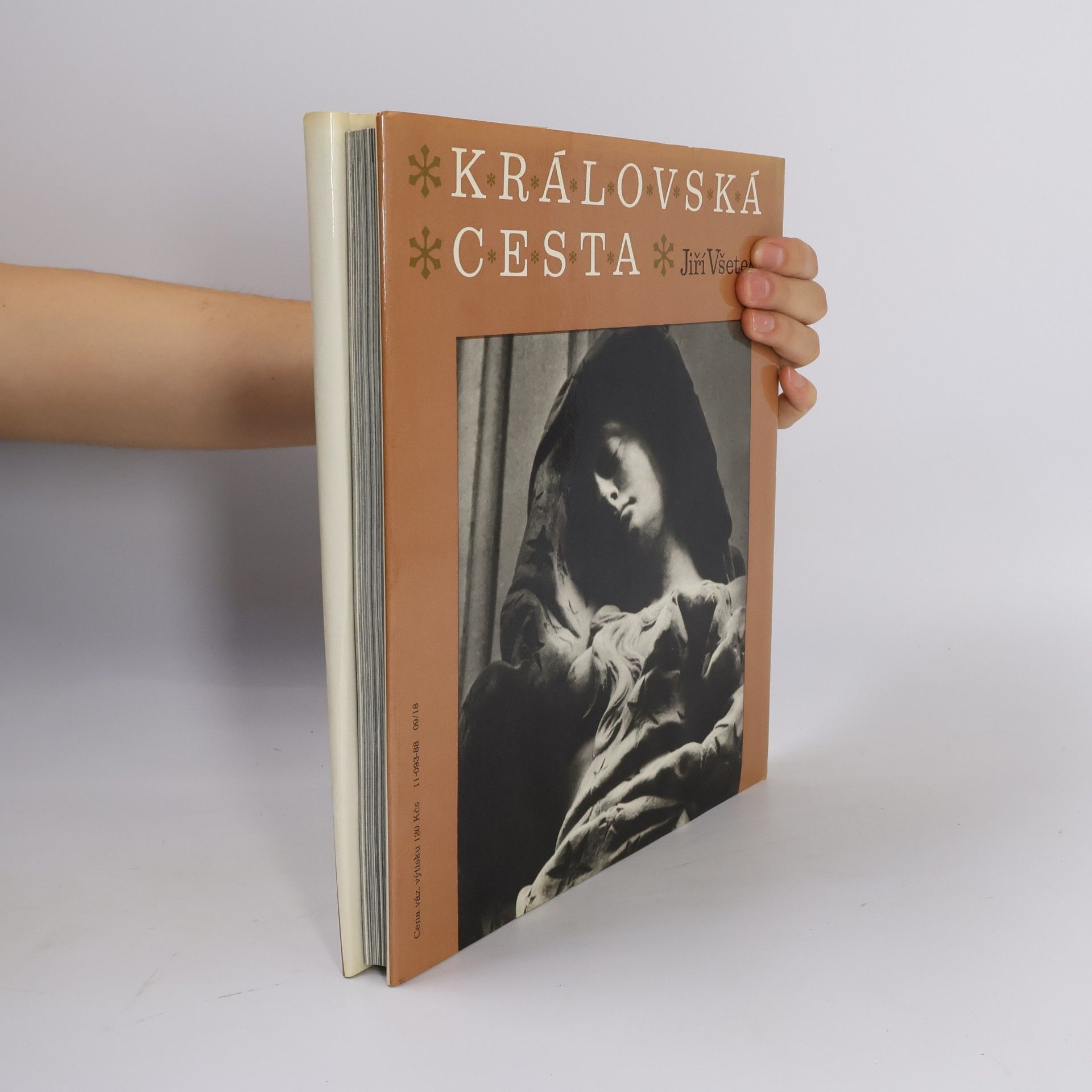 Jiří Všetečka Královská cesta