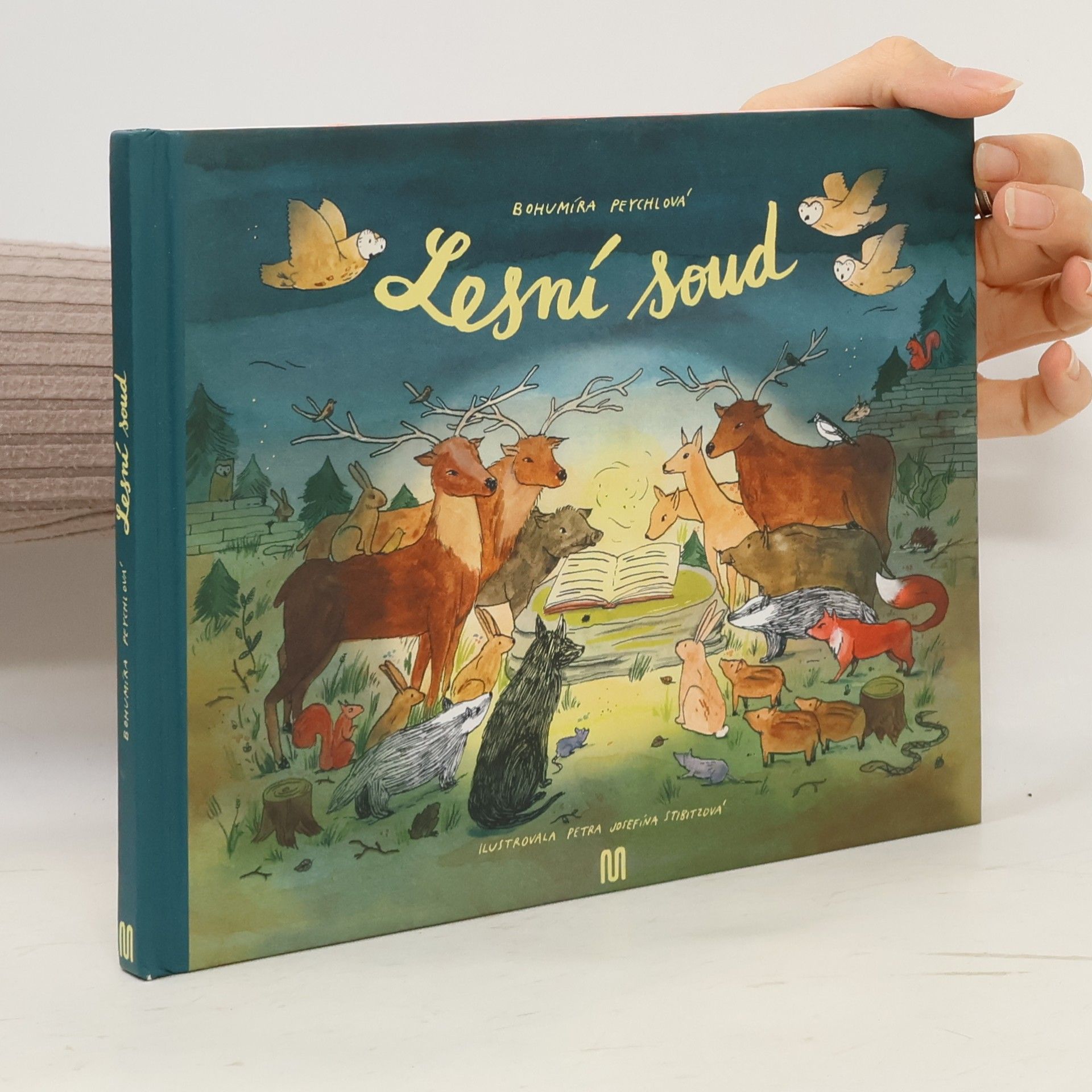 Lesní soud