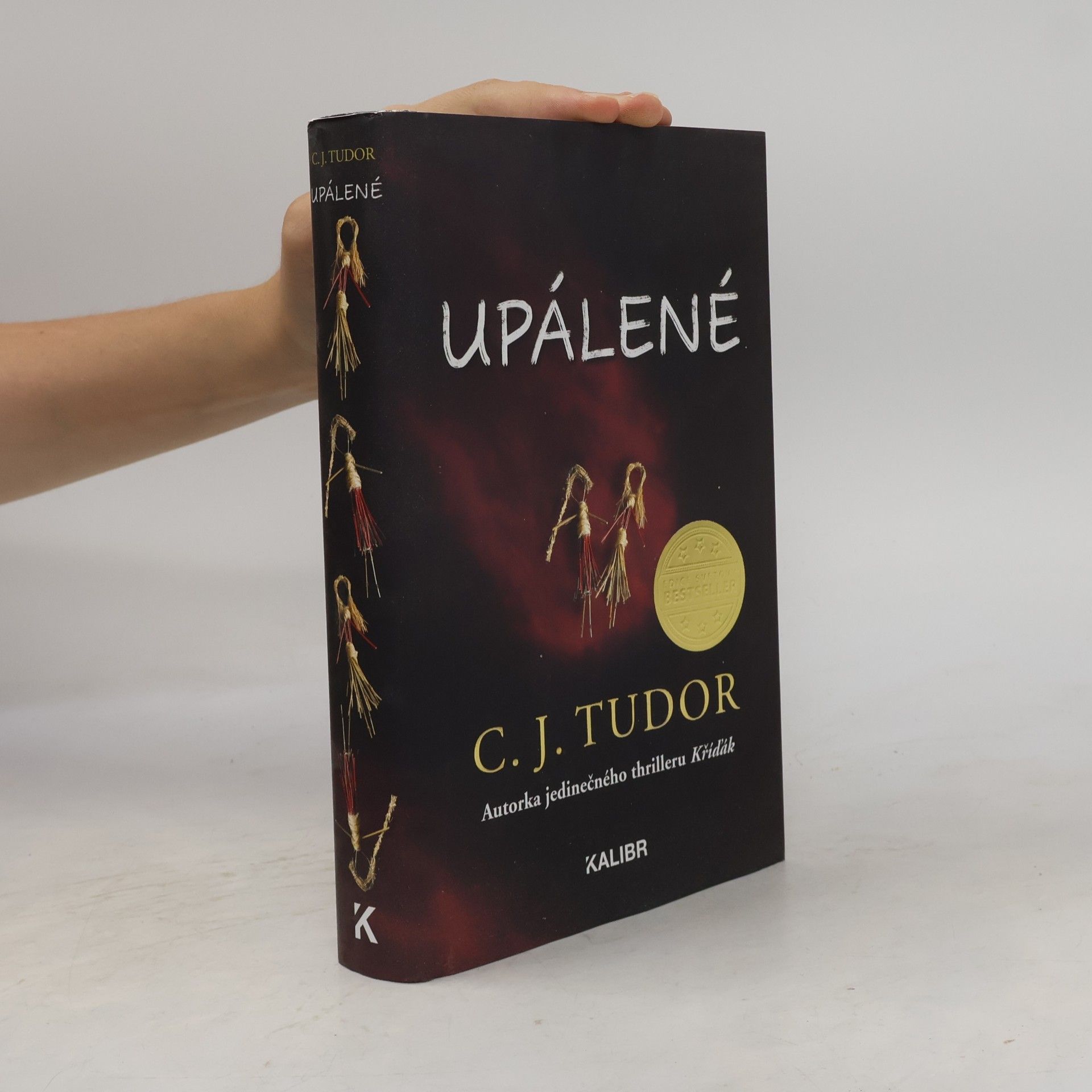 C.J. Tudor Upálené