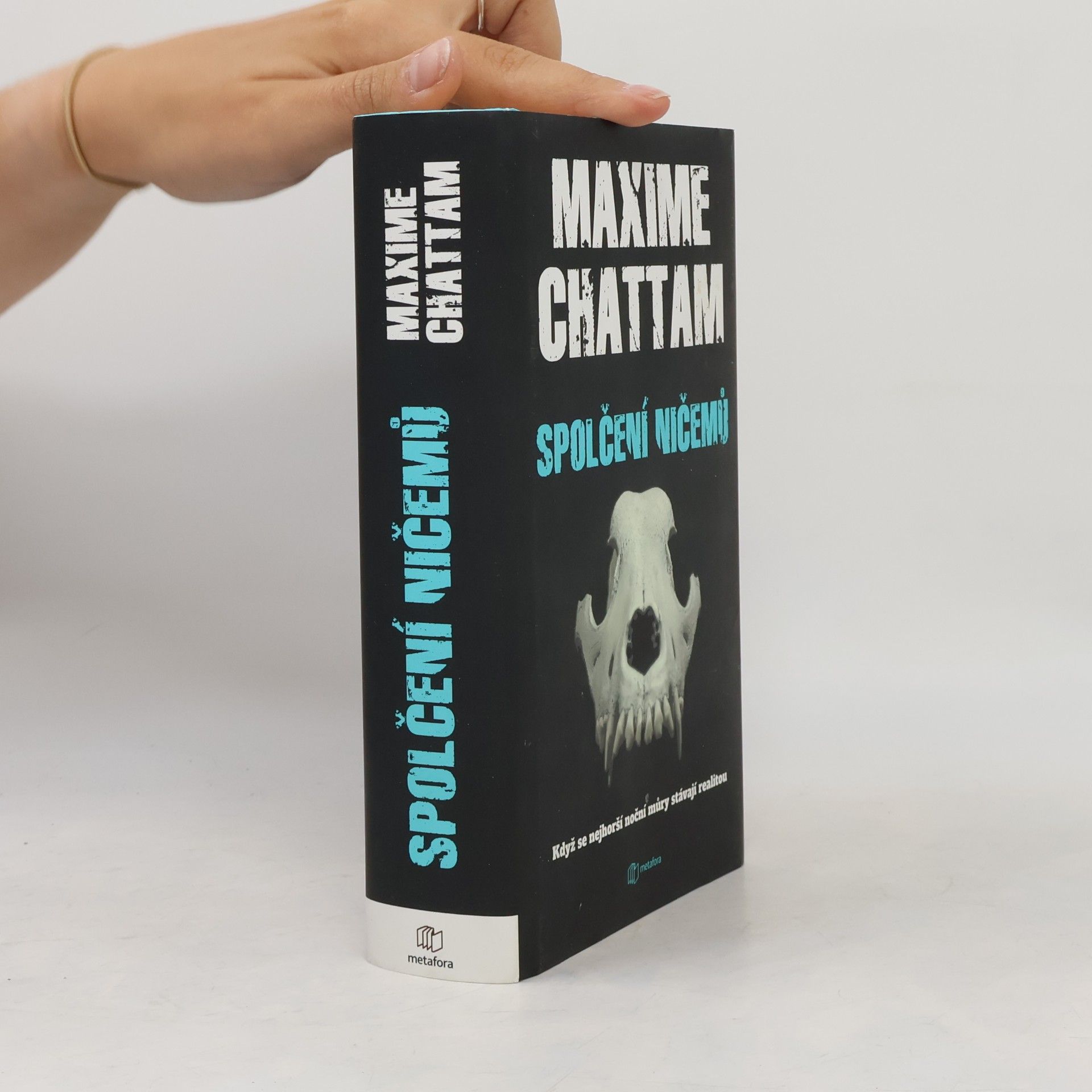 Maxime Chattam Spolčení ničemů