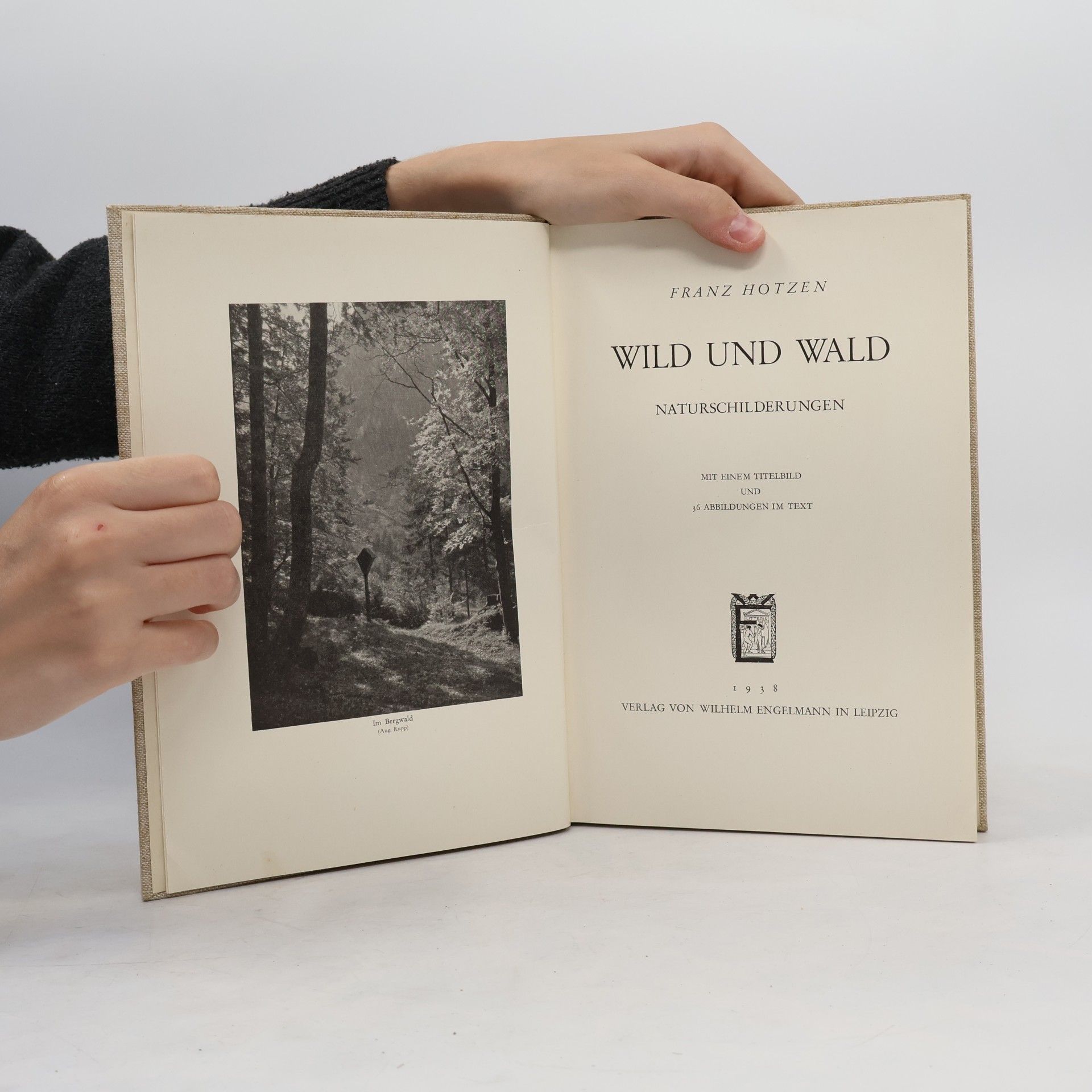 Franz Hotzen Wild und Wald