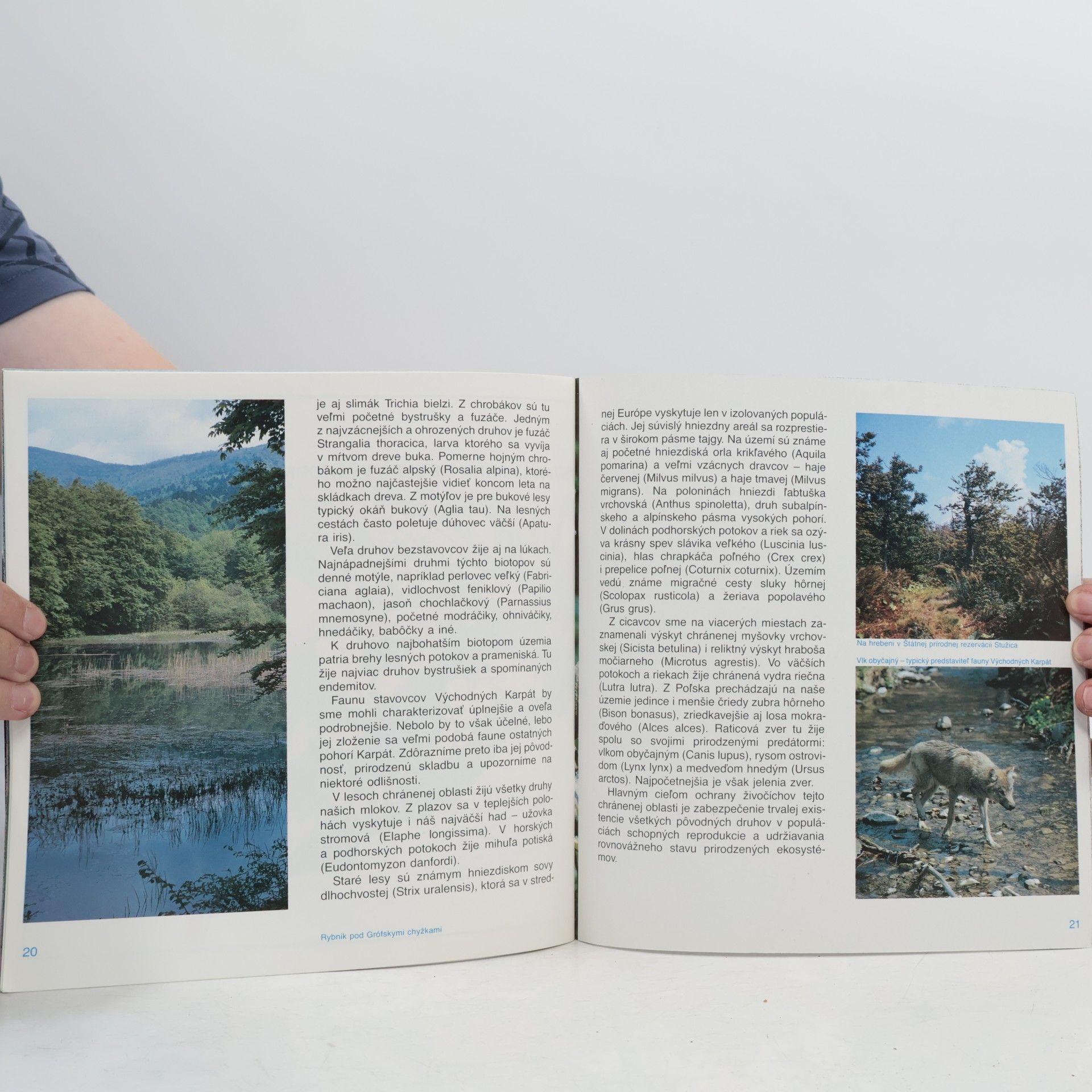 Autores varios Východné Karpaty