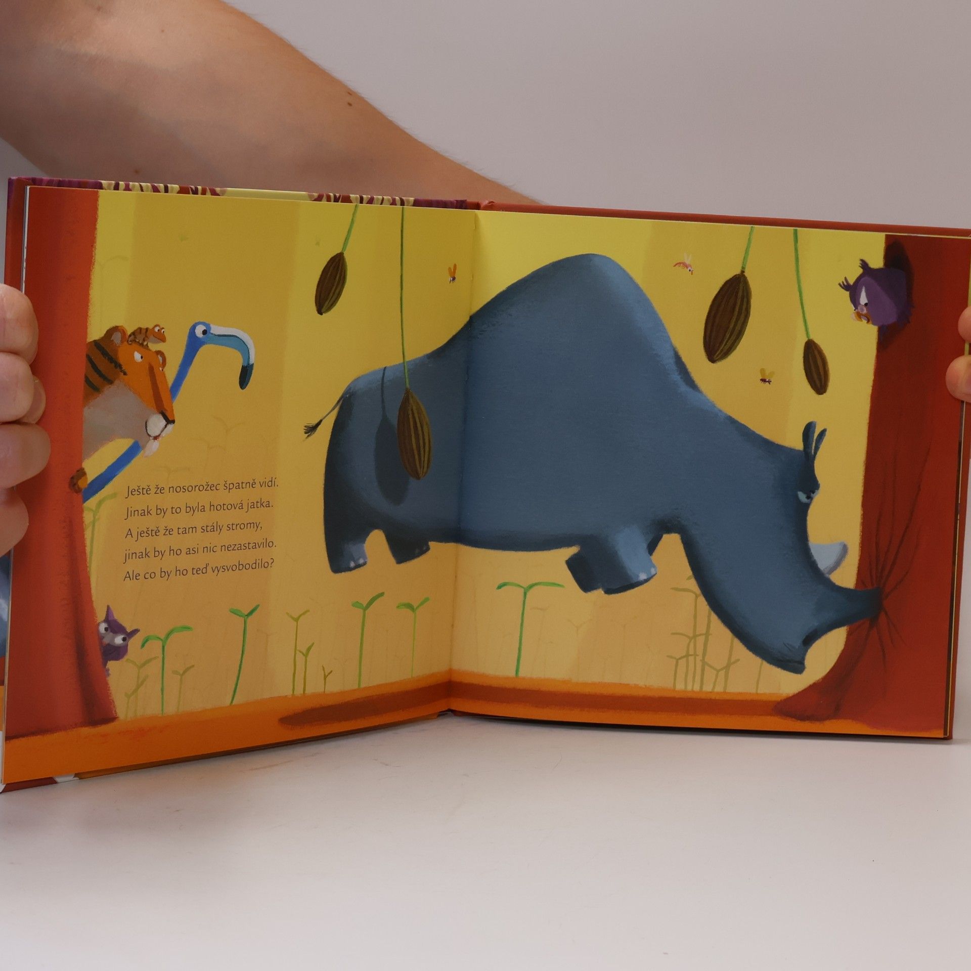 Christine Beigel O nosorožci, který šilhal