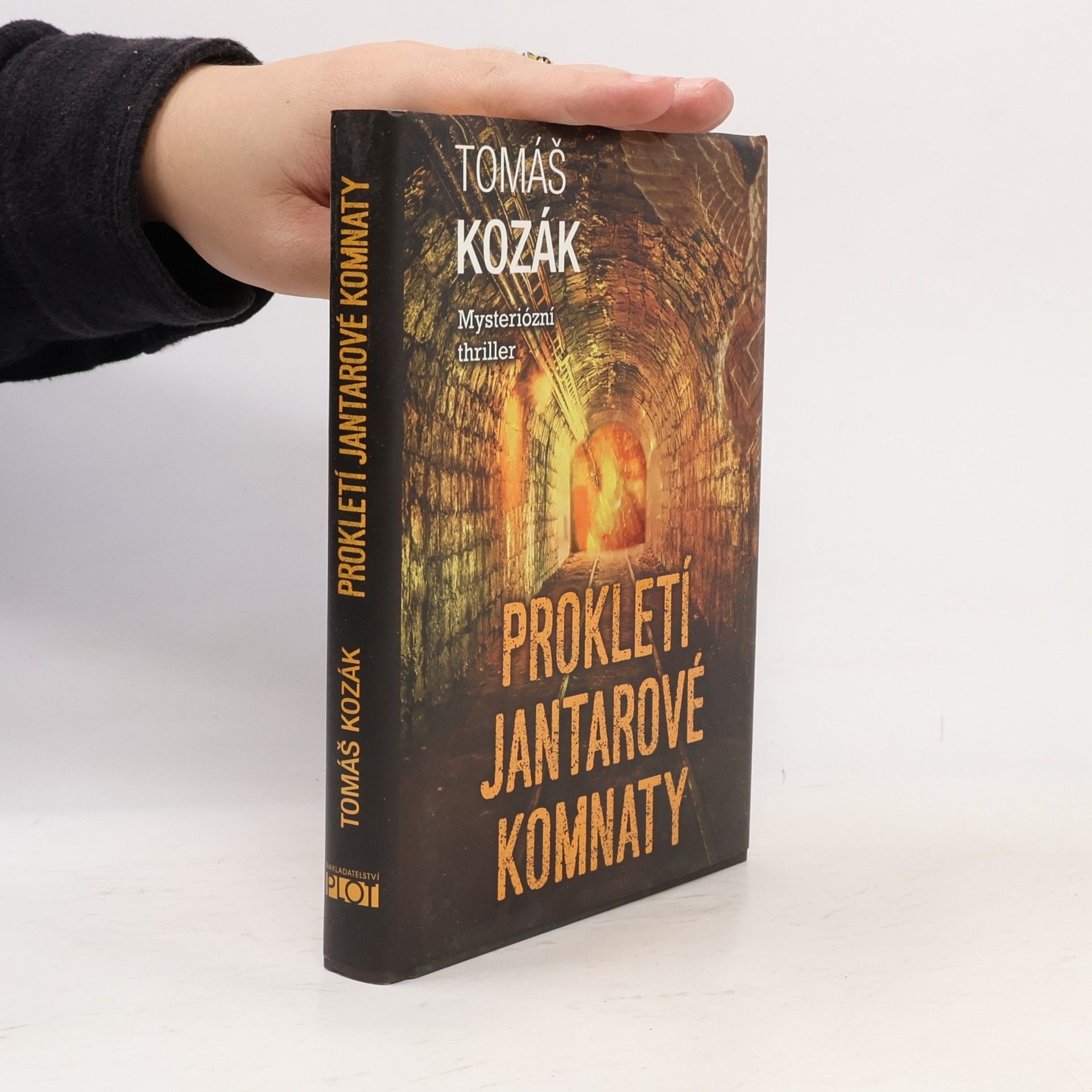 Tomáš Kozák Prokletí jantarové komnaty