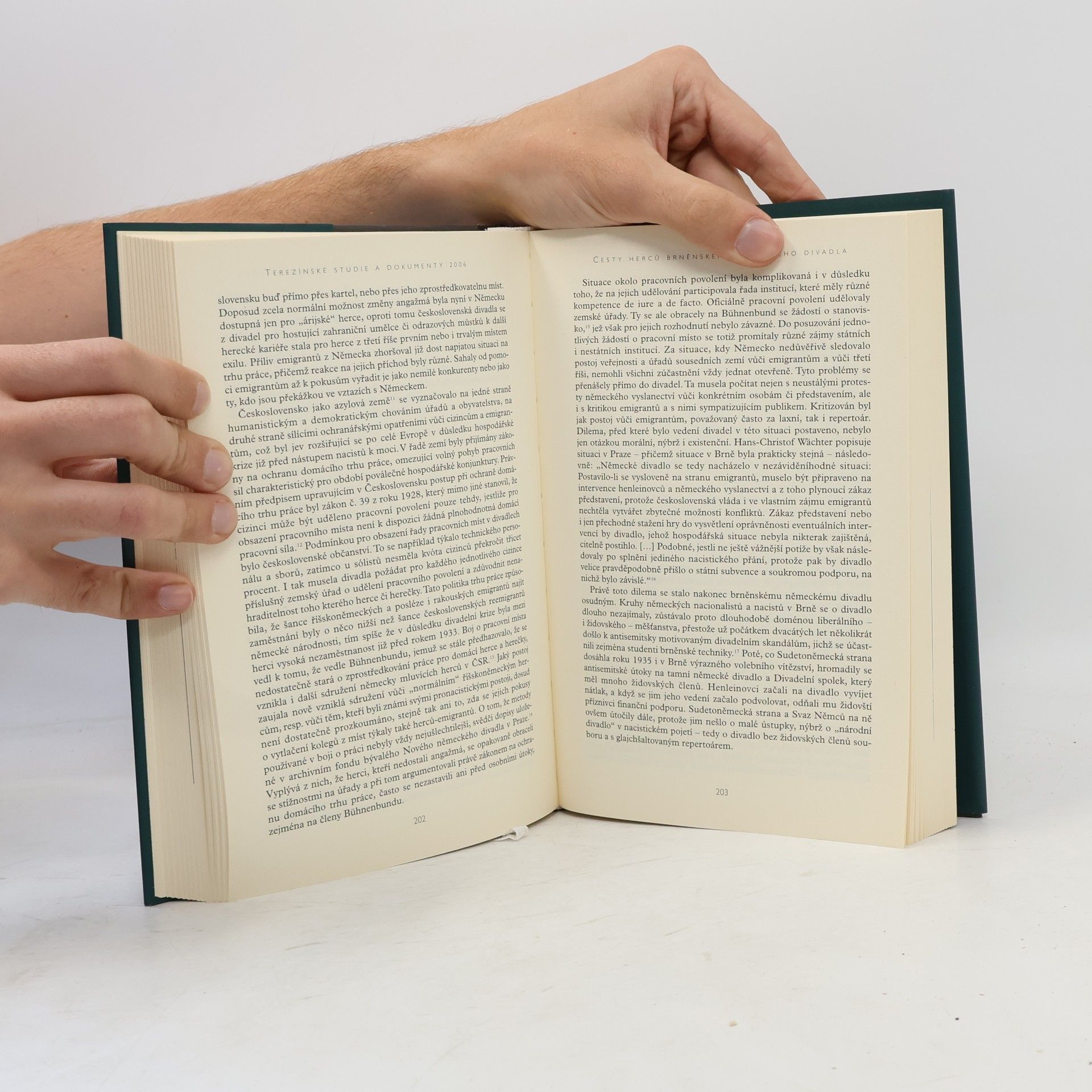 Autorenkollektiv Terezínské studie a dokumenty 2006