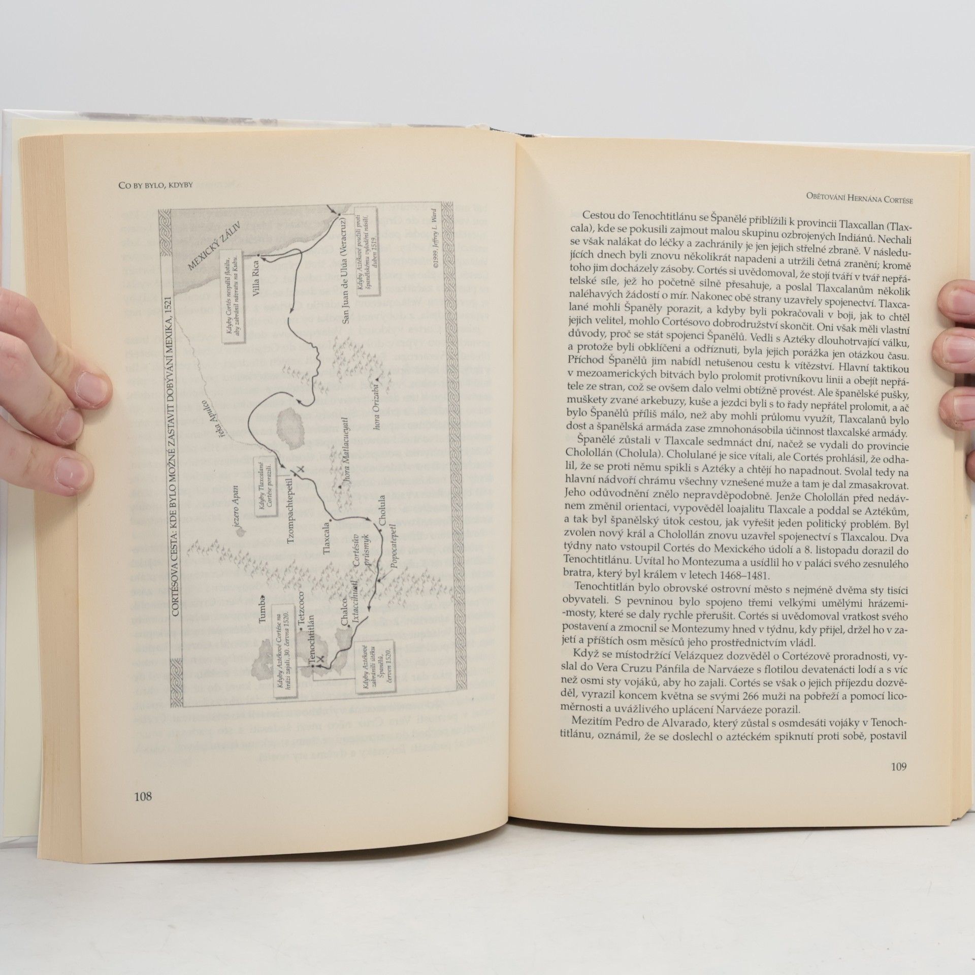 Robert Cowley Co by bylo, kdyby? : Představy vojenských historiků o tom, co se mohlo stát