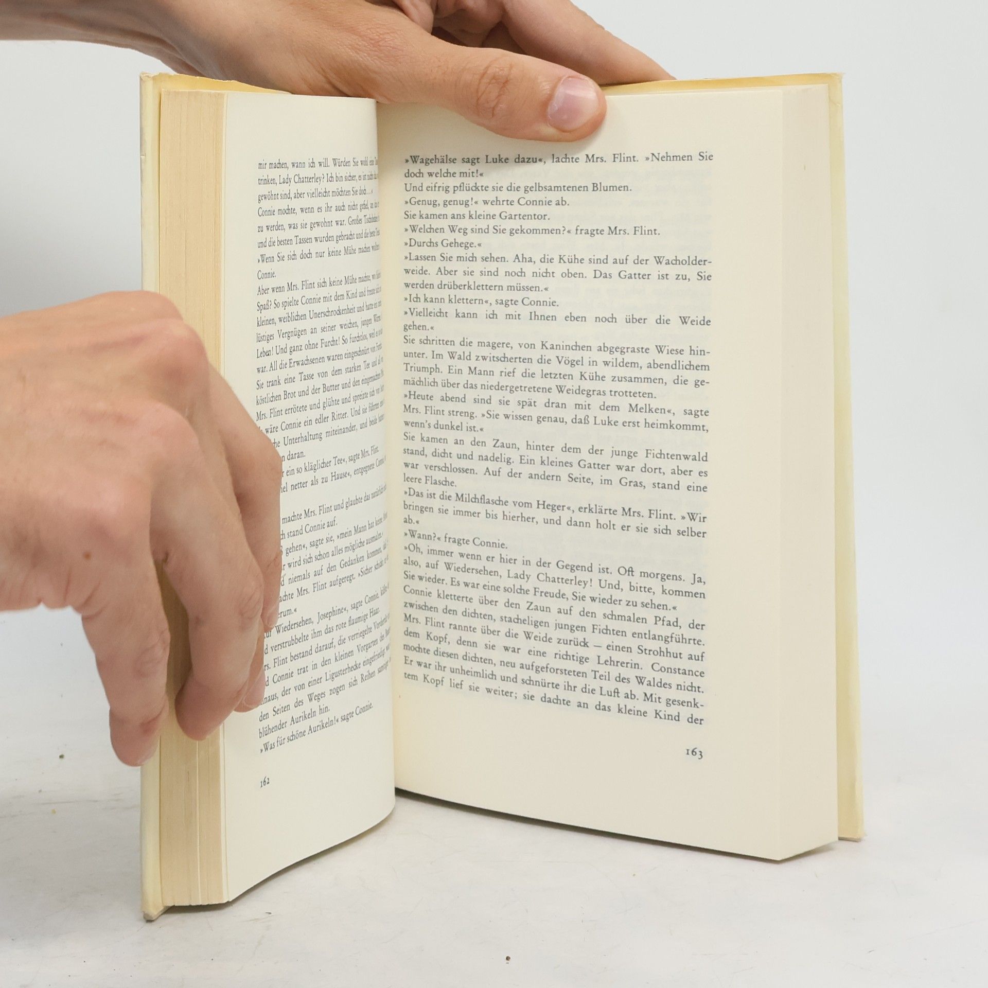 D. H. Lawrence Lady Chatterley