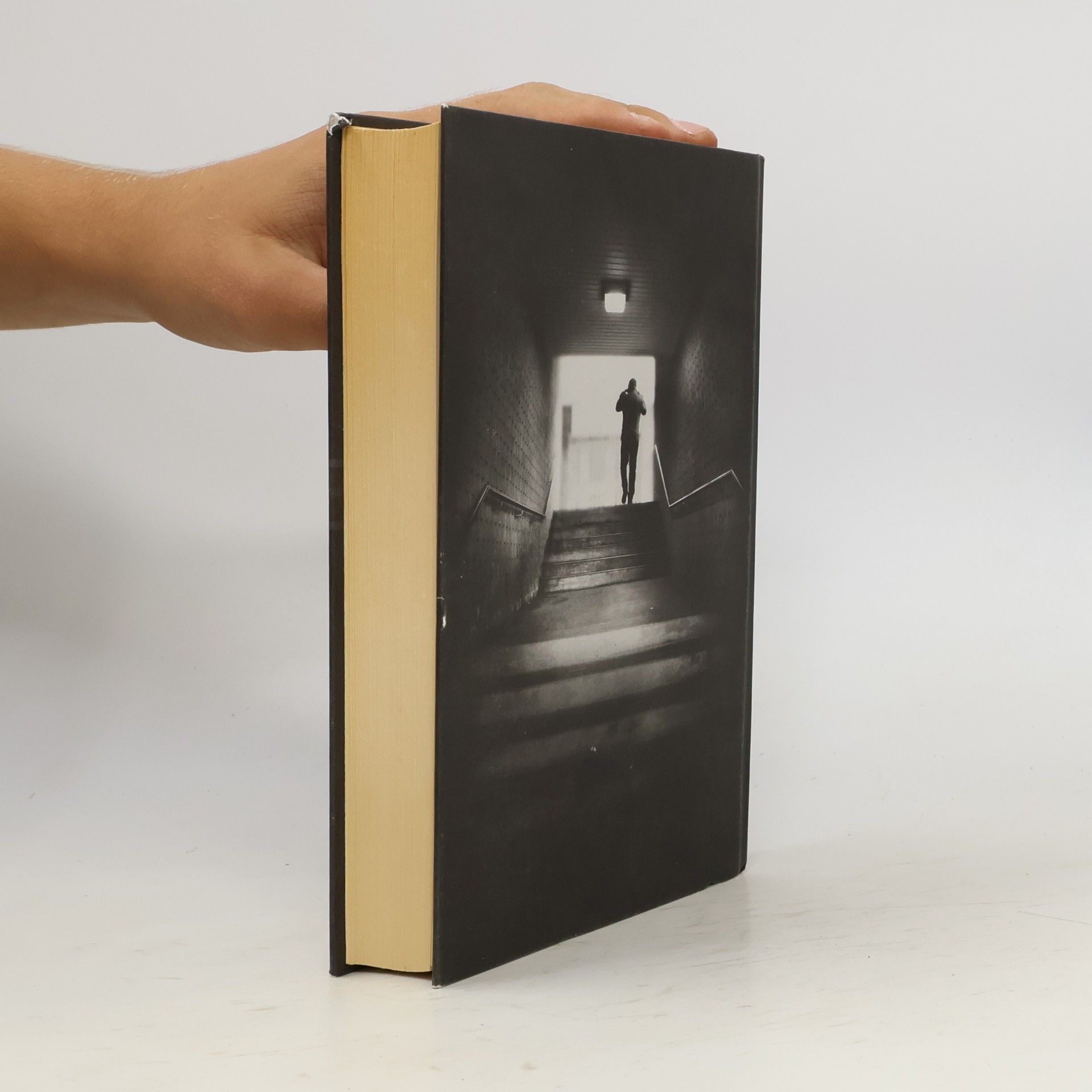 Paula Hawkins Dívka ve vlaku
