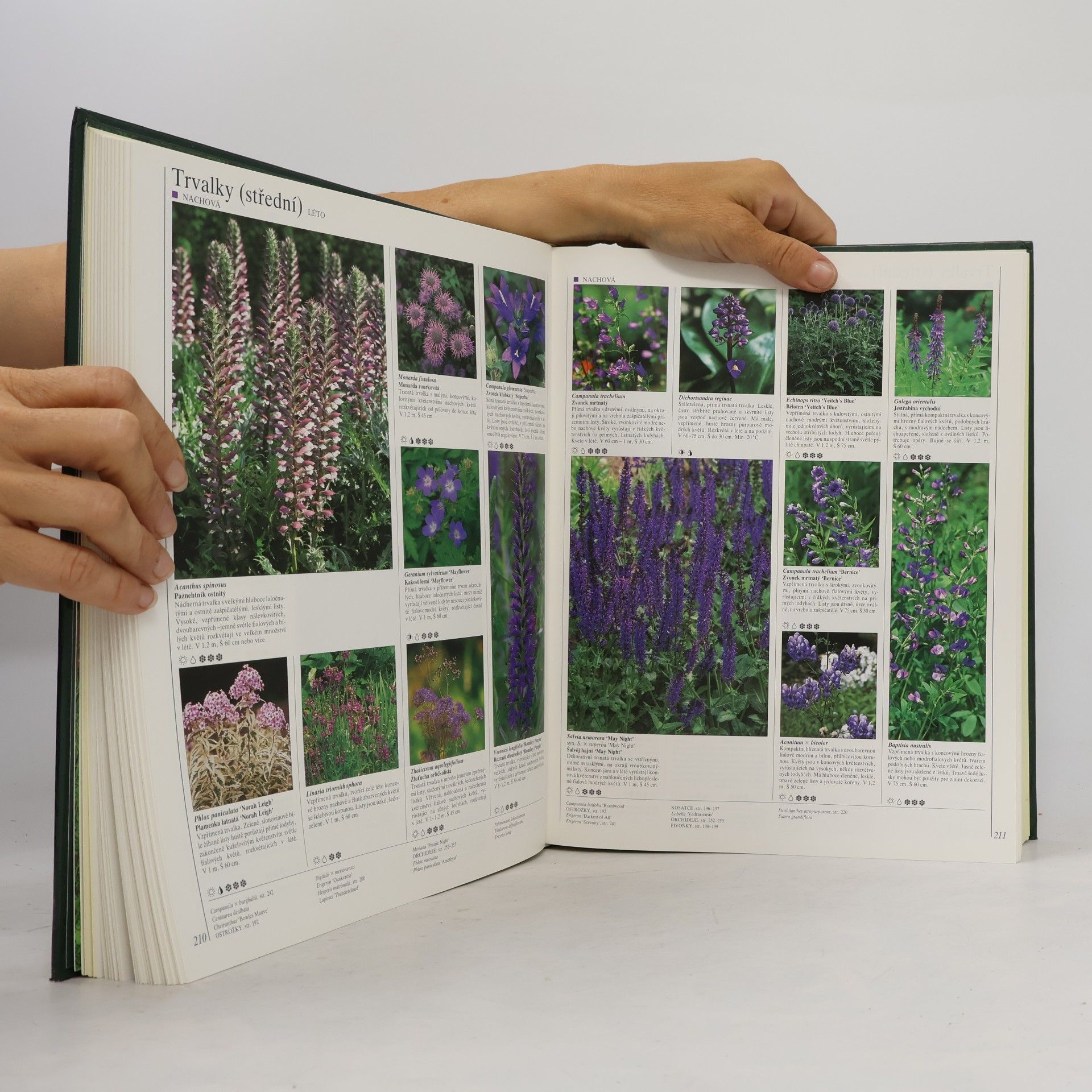 Christopher David Brickell Velká encyklopedie květin a okrasných rostlin