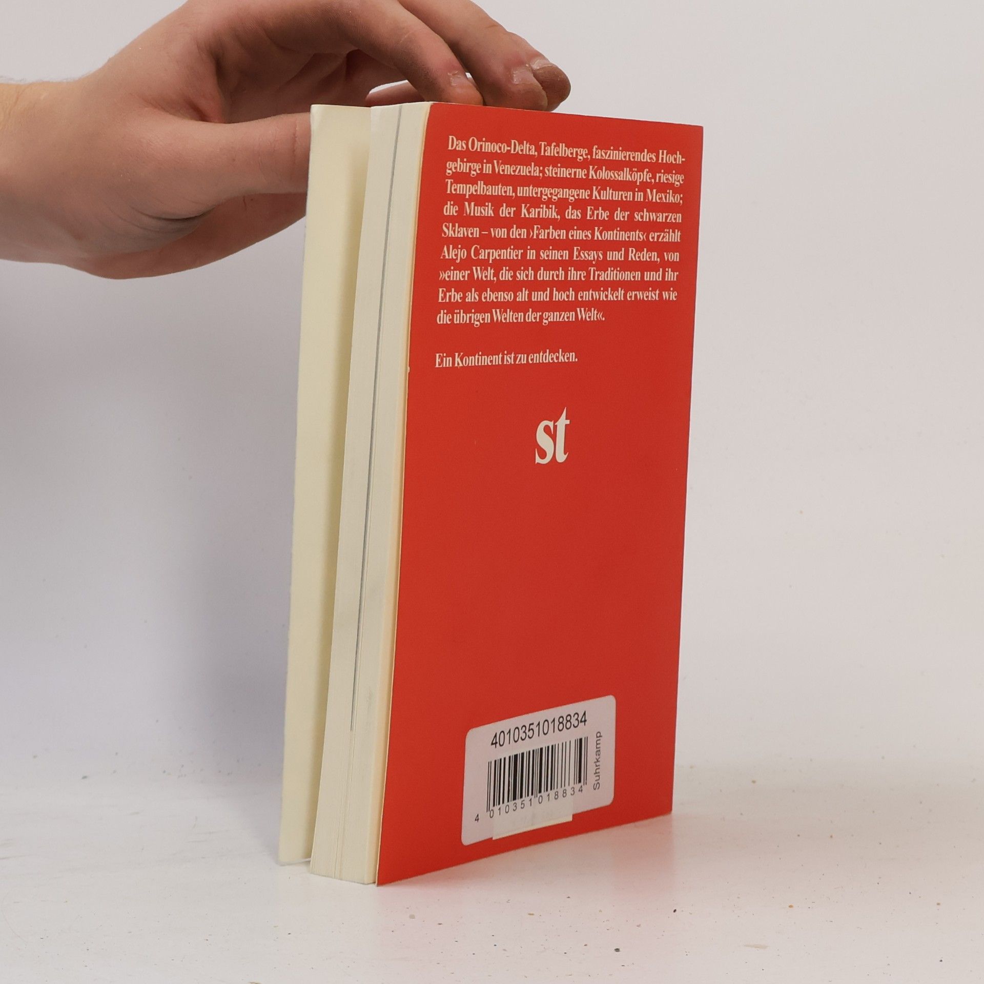 Alejo Carpintero Suhrkamp Taschenbuch: Die Farben eines Kontinents