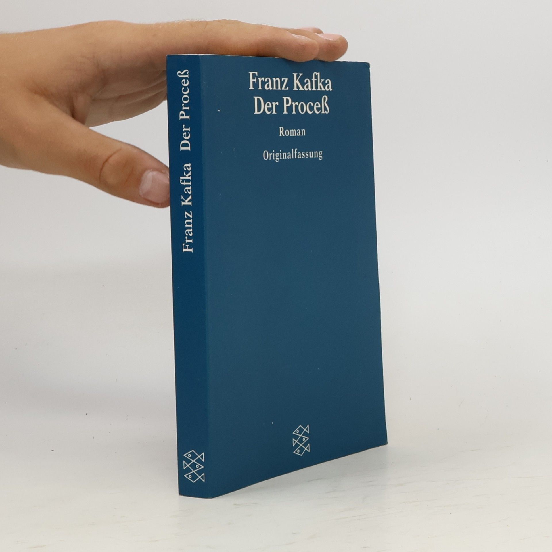 Franz Kafka Der Proceß