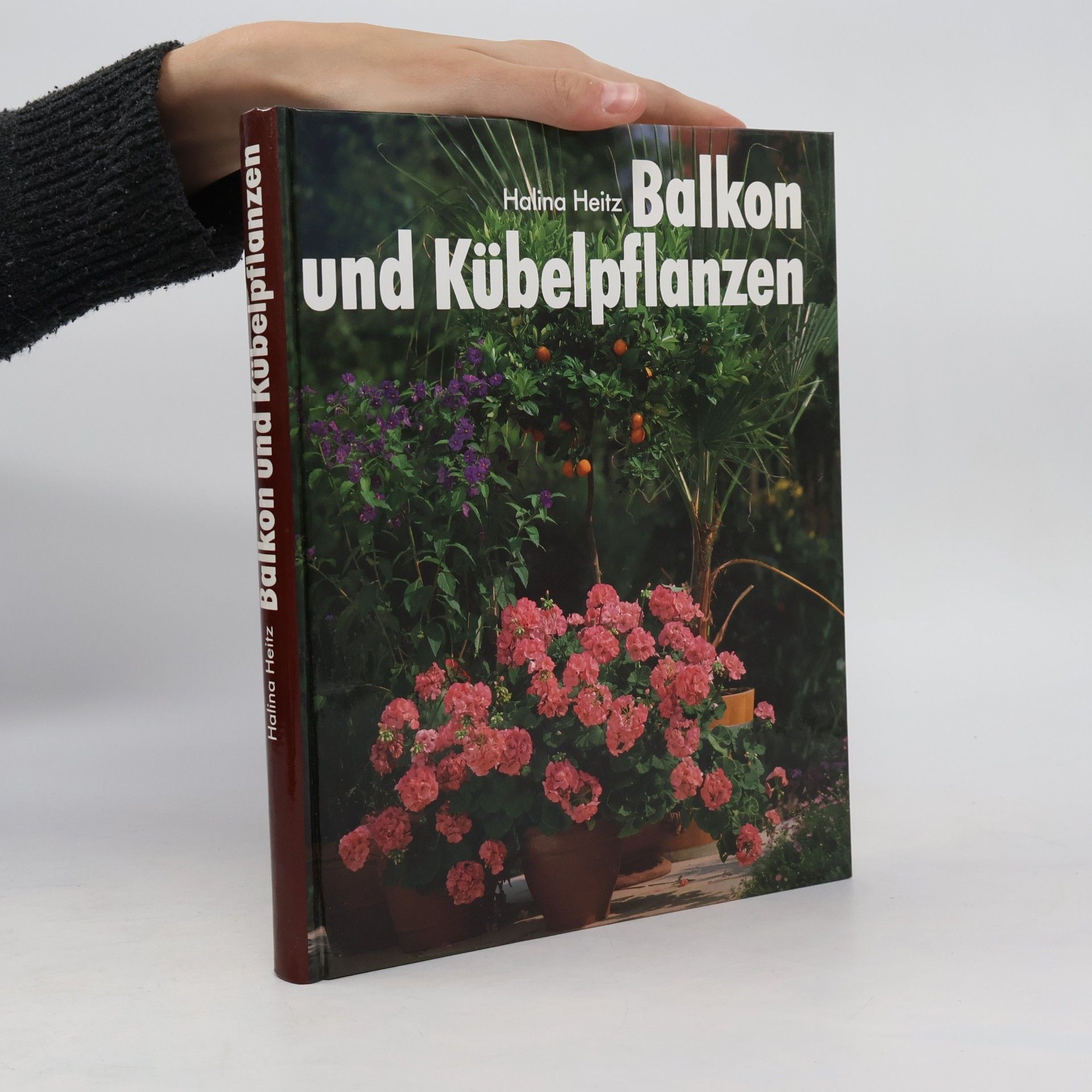 Halina Heitz Balkon und Kübelpflanzen