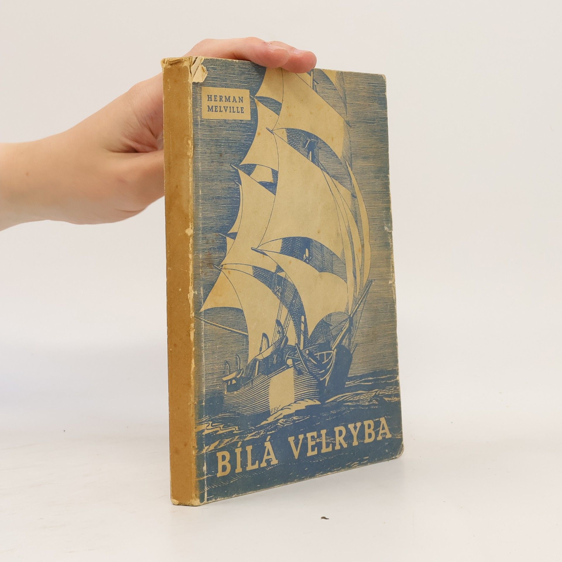 Herman Melville Bílá velryba