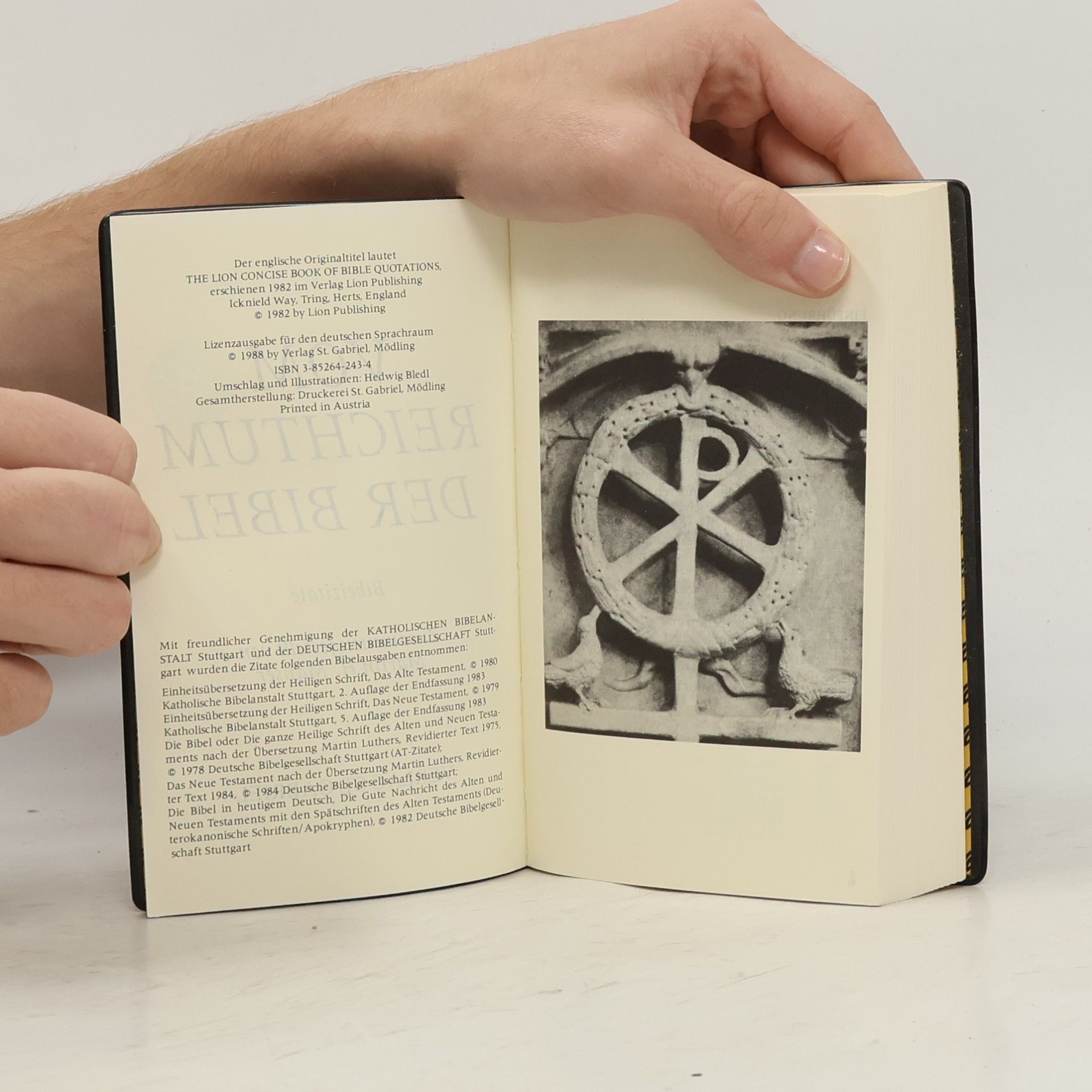 Martin Manser Vom Reichtum der Bibel