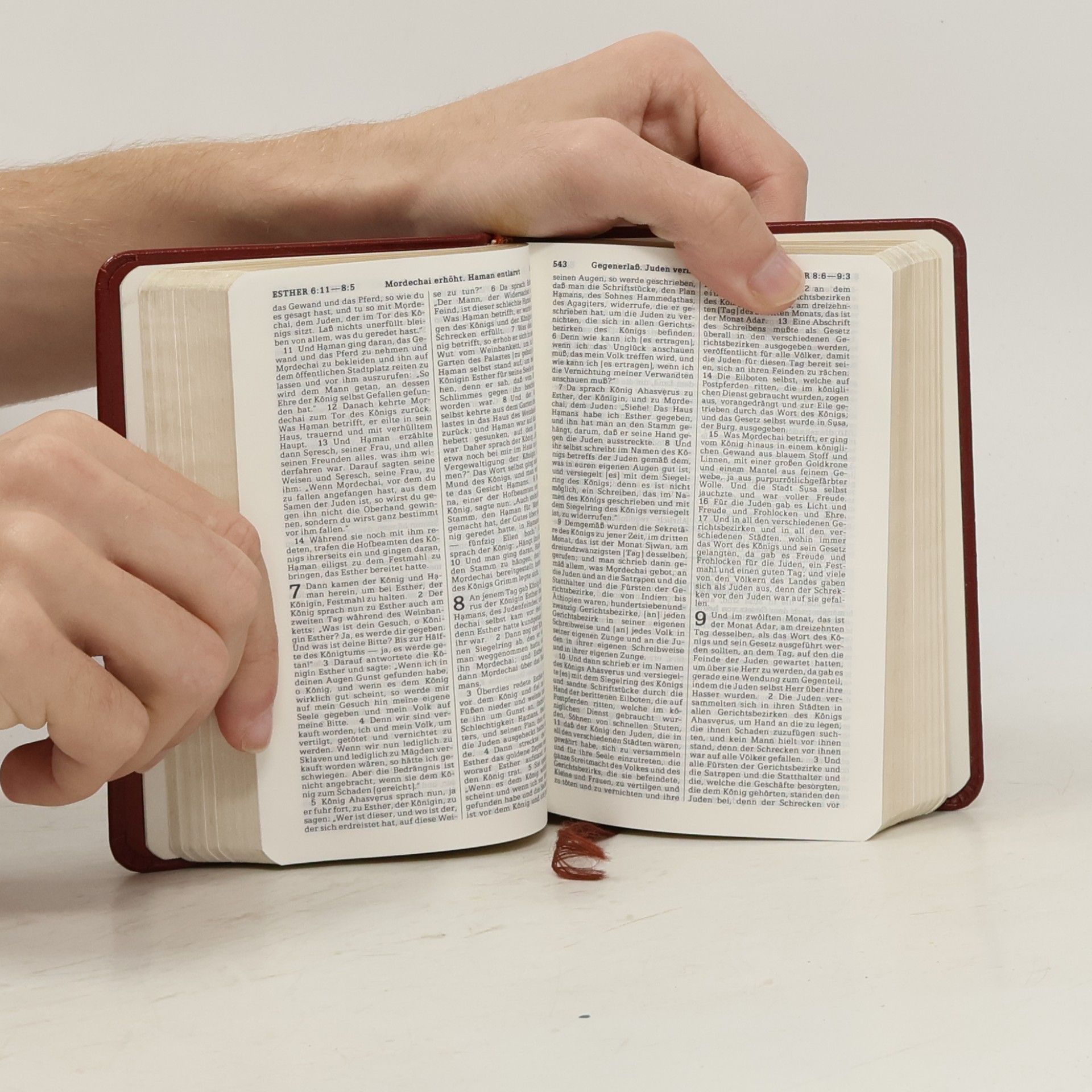Various authors Neue-Welt-Übersetzung der Heiligen Schrift