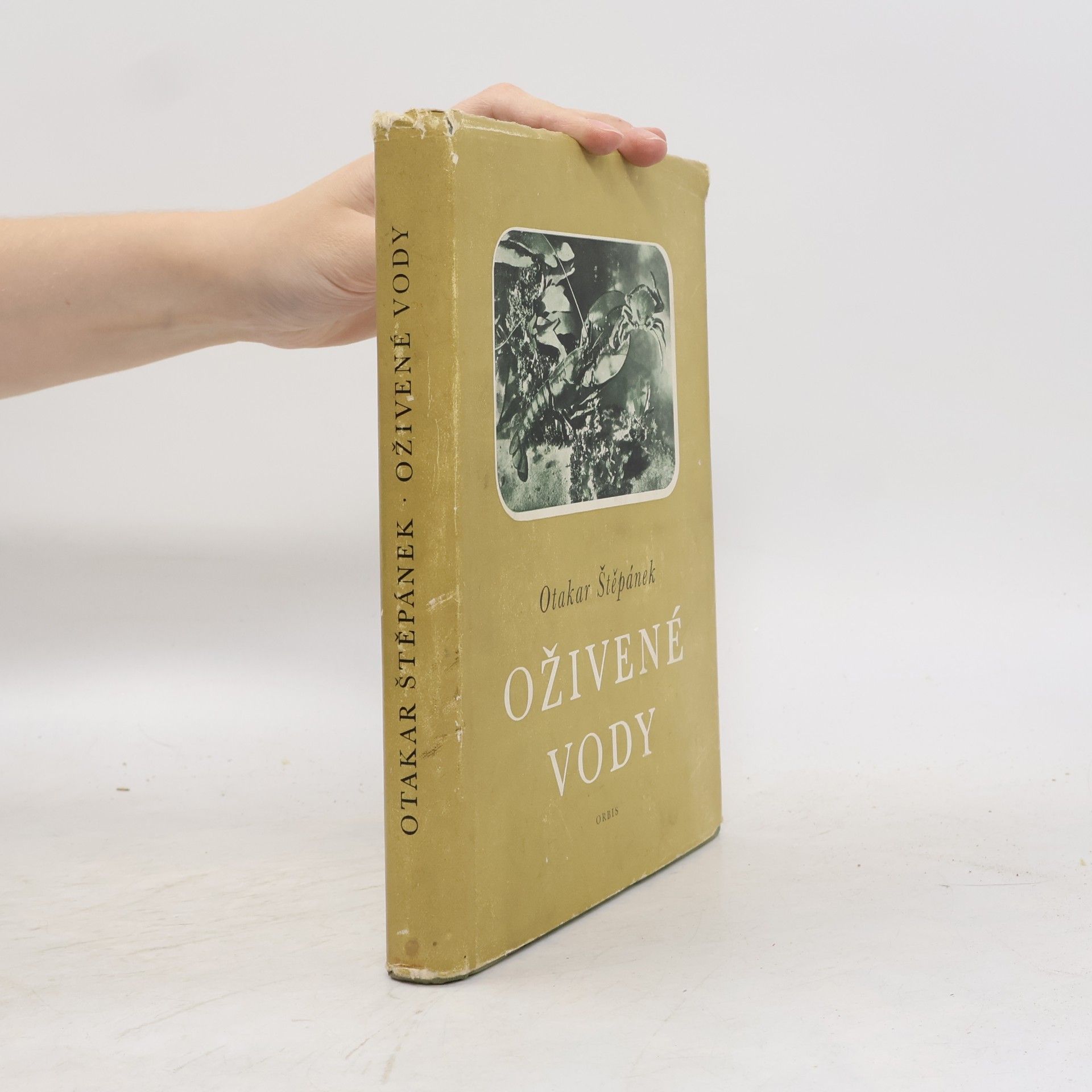 Oživené vody