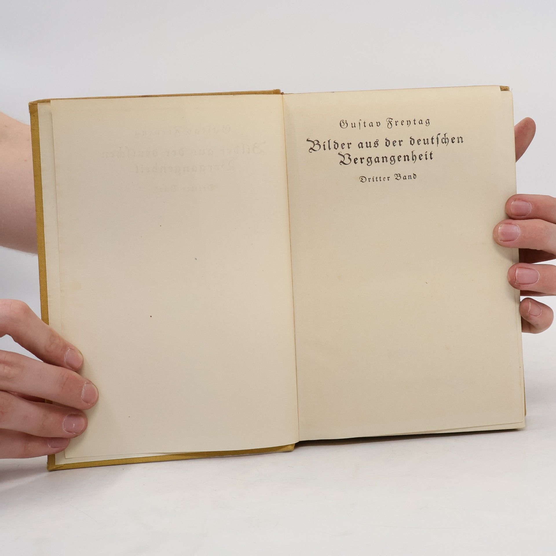 Gustav Freytag Bilder aus der deutschen Vergangenheit III.