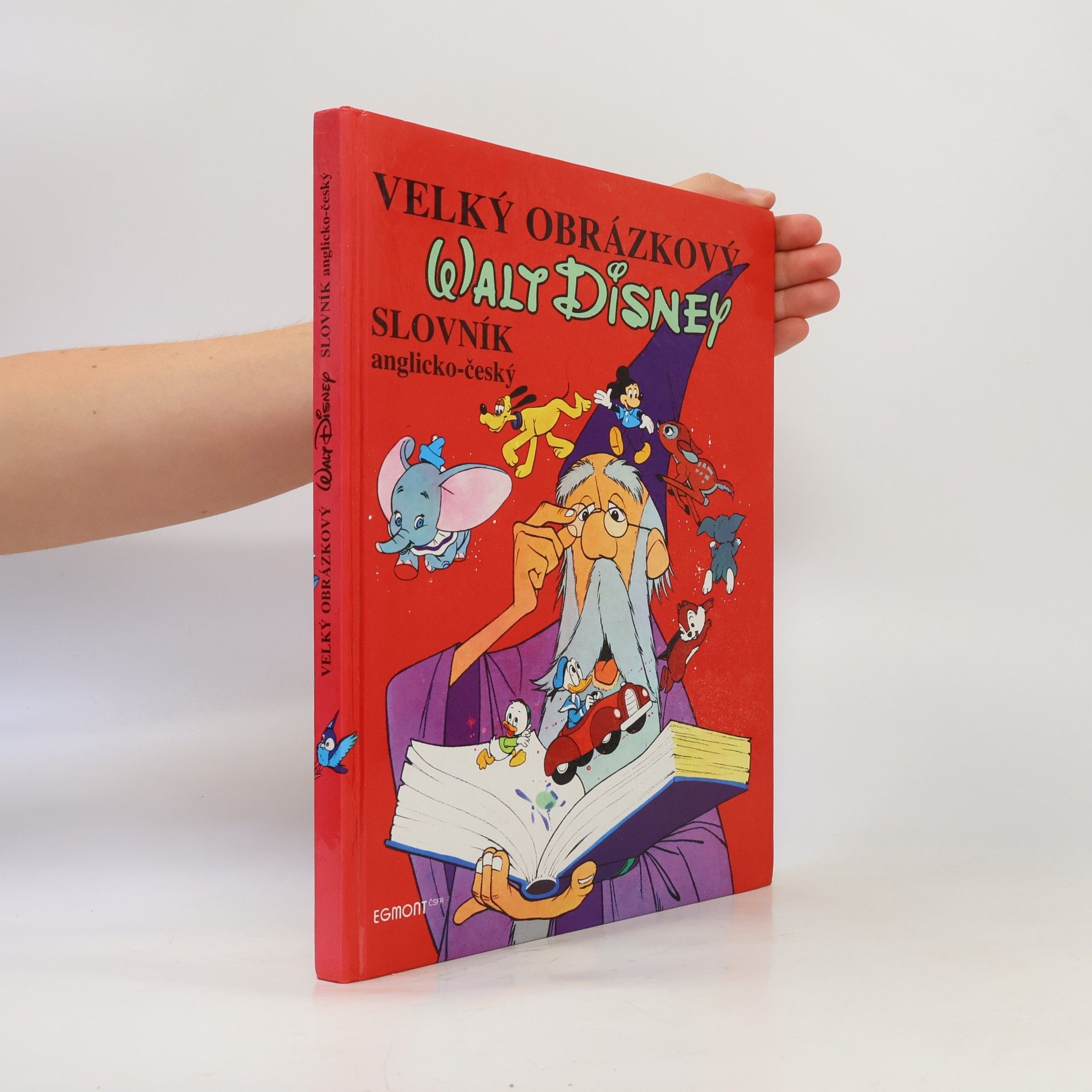 Walt Disney Velký obrázkový slovník anglicko-český