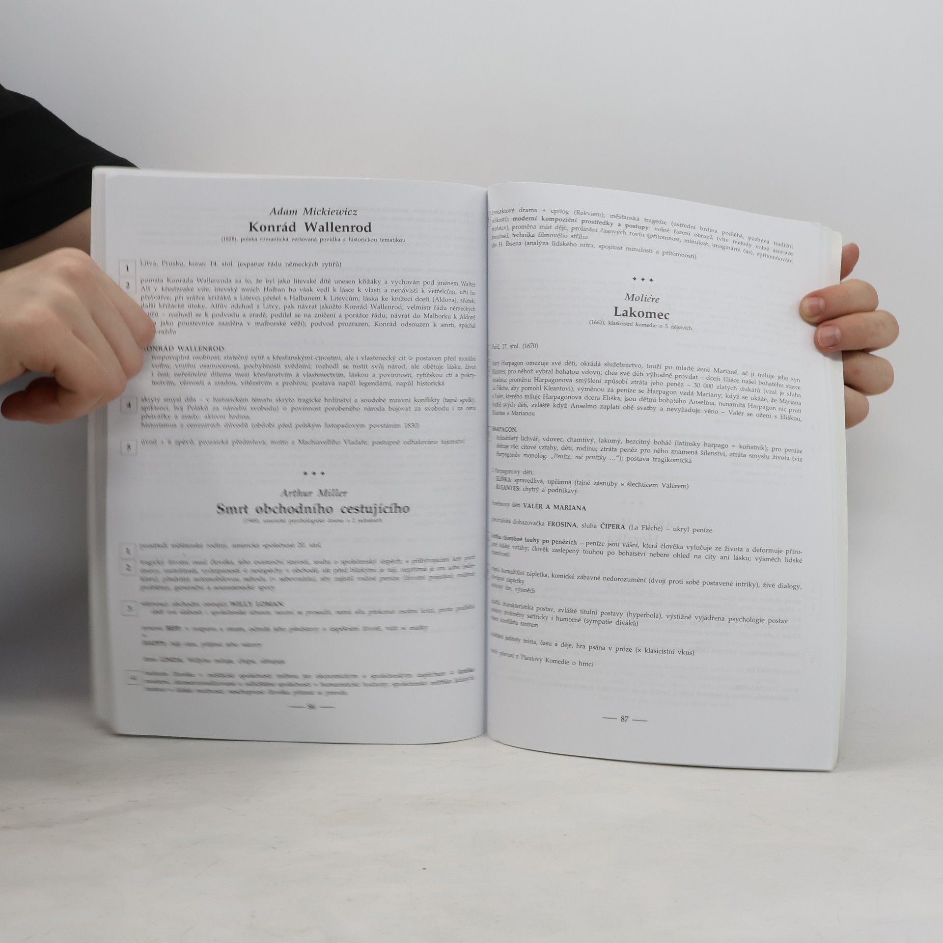 Marie Sochrová Čtenářský deník k Literatuře v kostce