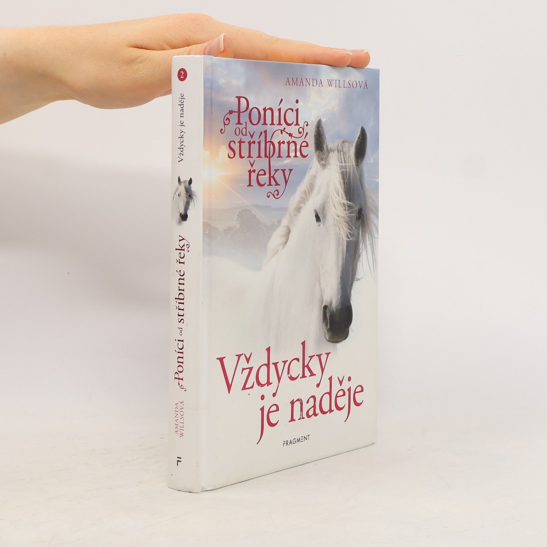 Amanda Wills Vždycky je naděje