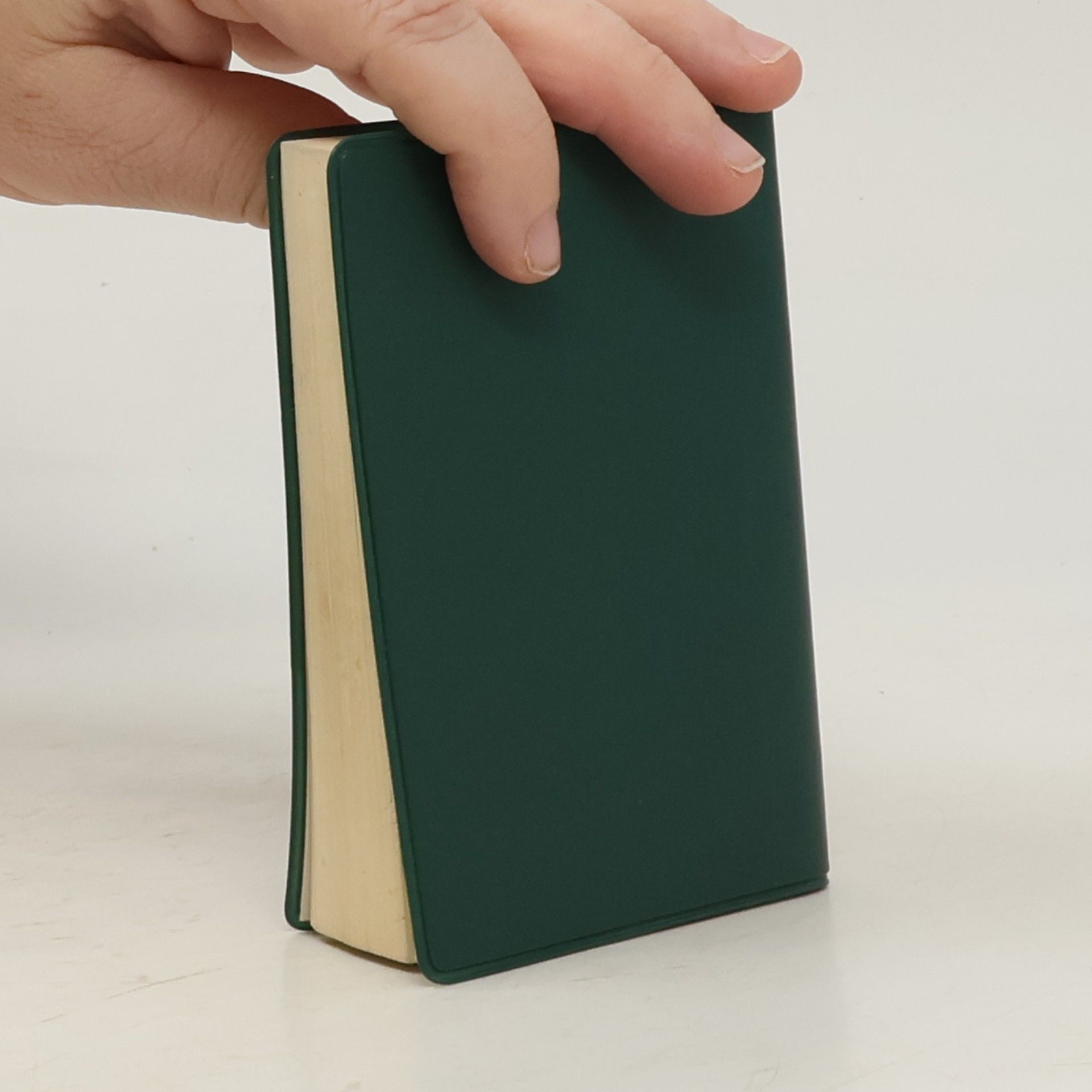Josef Kürzinger Das Neue Testament