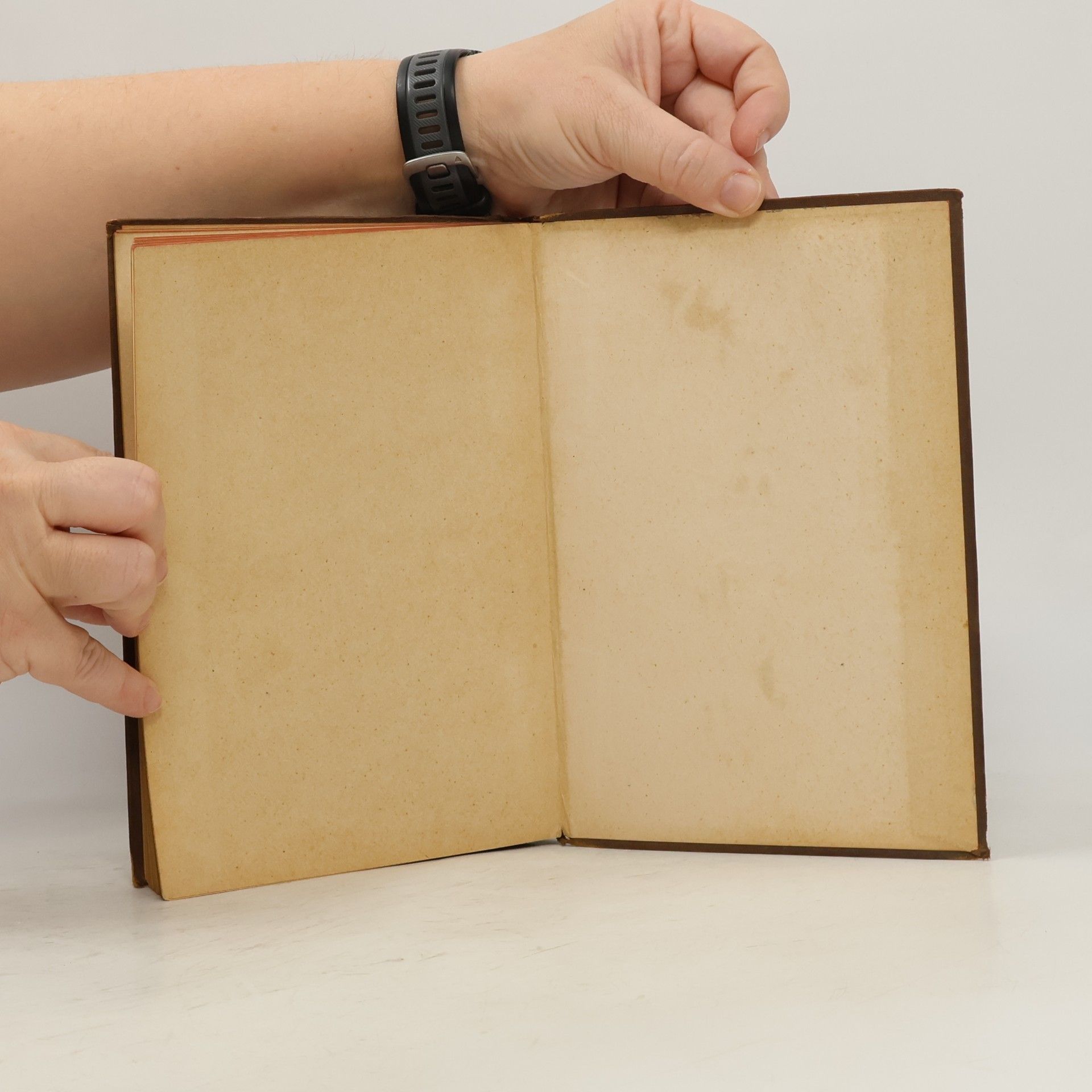 J. Schuster Die Biblische Geschichte des Alten und Neuen Testaments