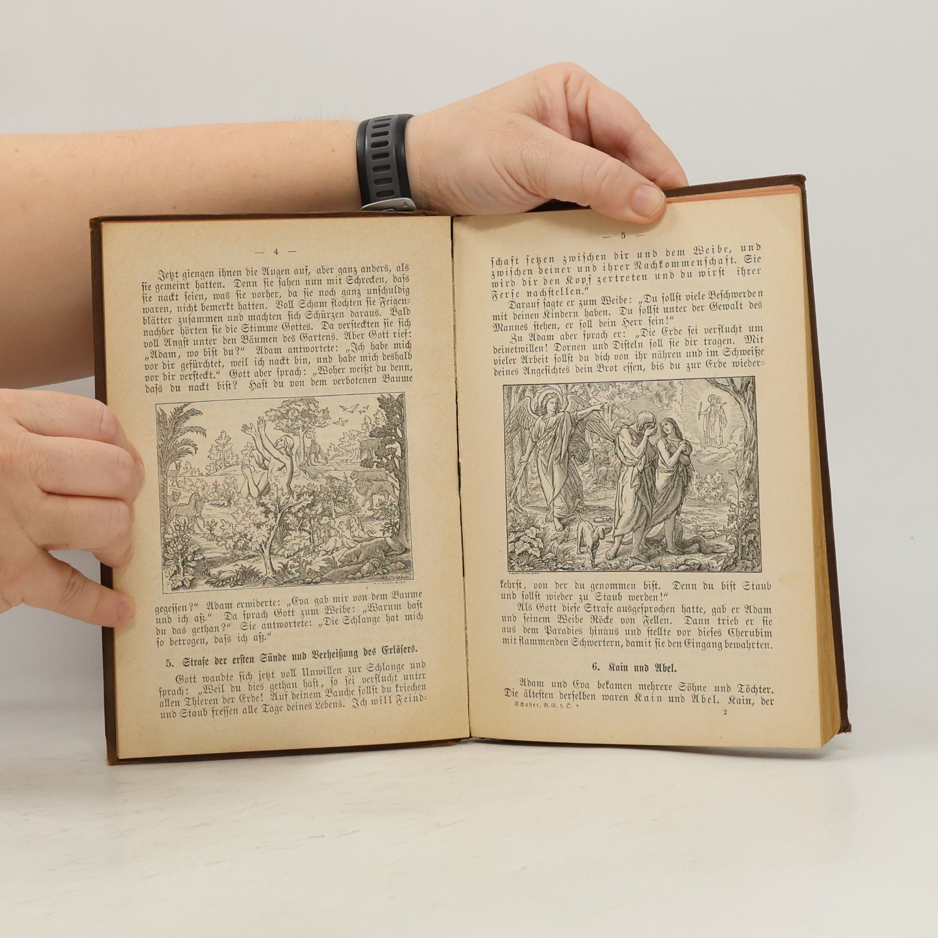 J. Schuster Die Biblische Geschichte des Alten und Neuen Testaments