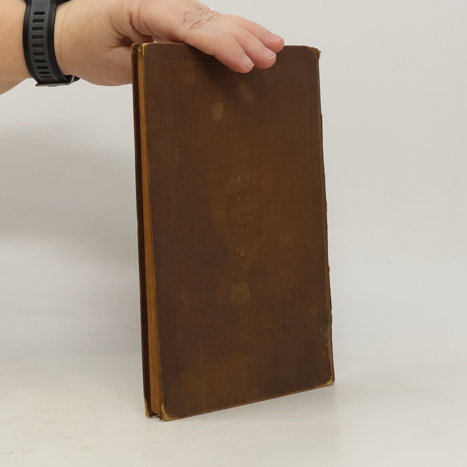J. Schuster Die Biblische Geschichte des Alten und Neuen Testaments