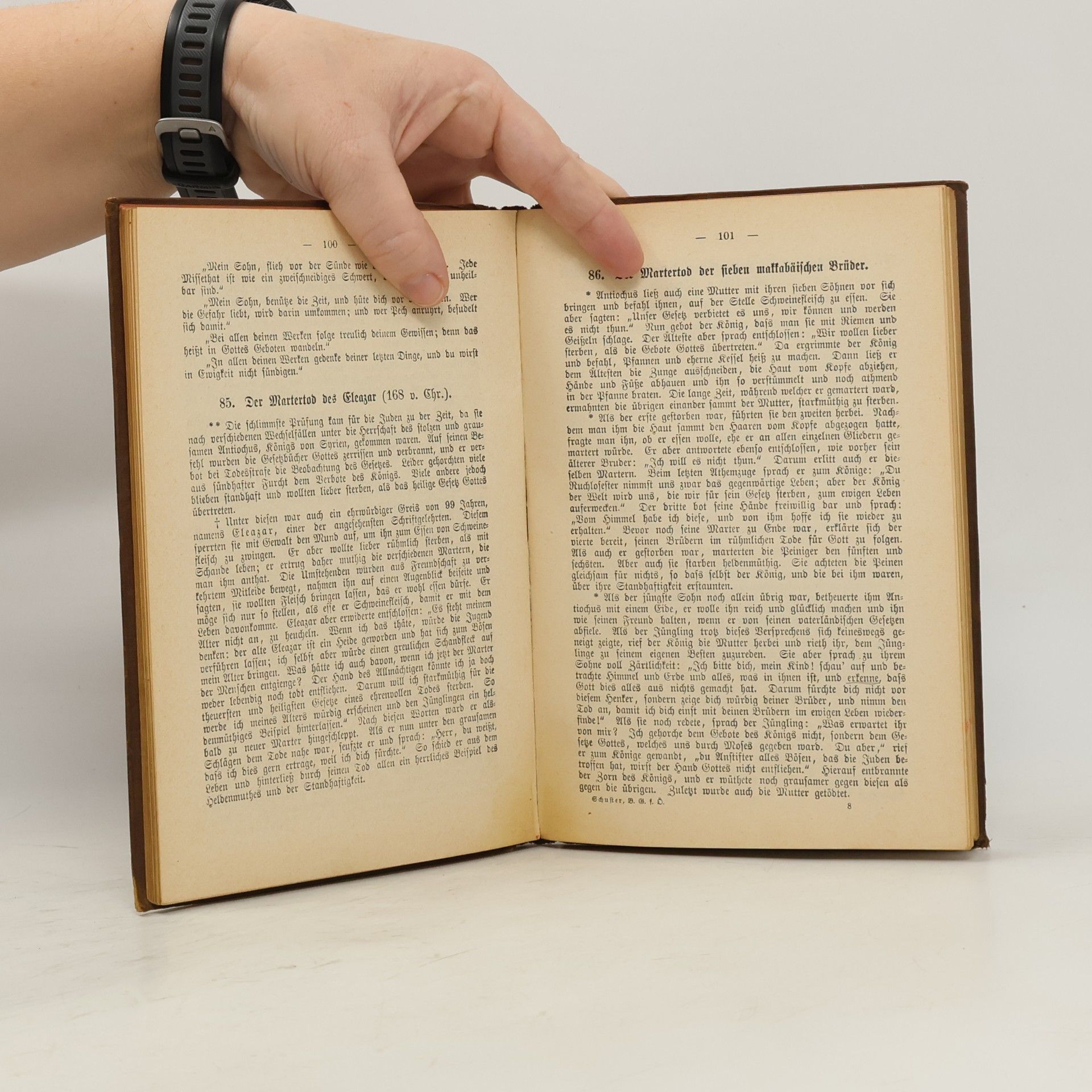 J. Schuster Die Biblische Geschichte des Alten und Neuen Testaments