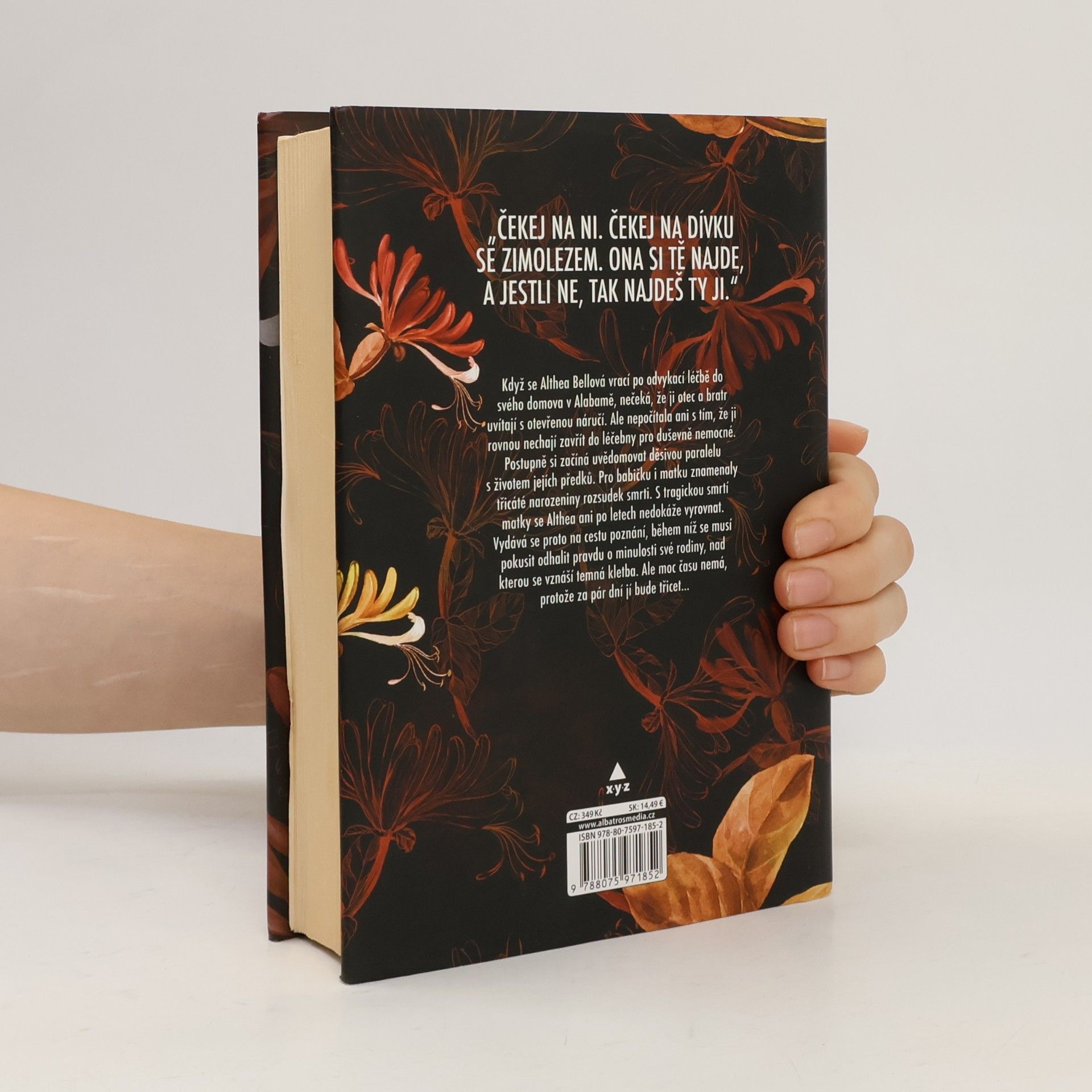 Emily Carpenter Prokletí horské dívky