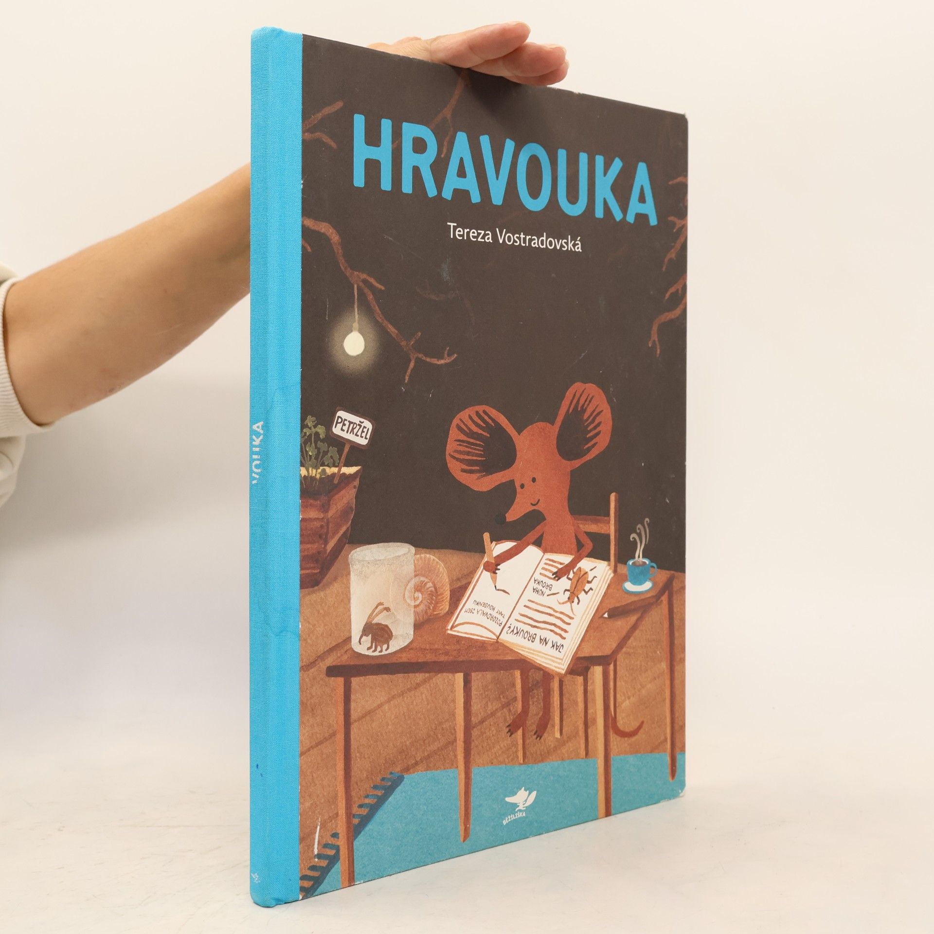 Tereza Vostradovská Hravouka