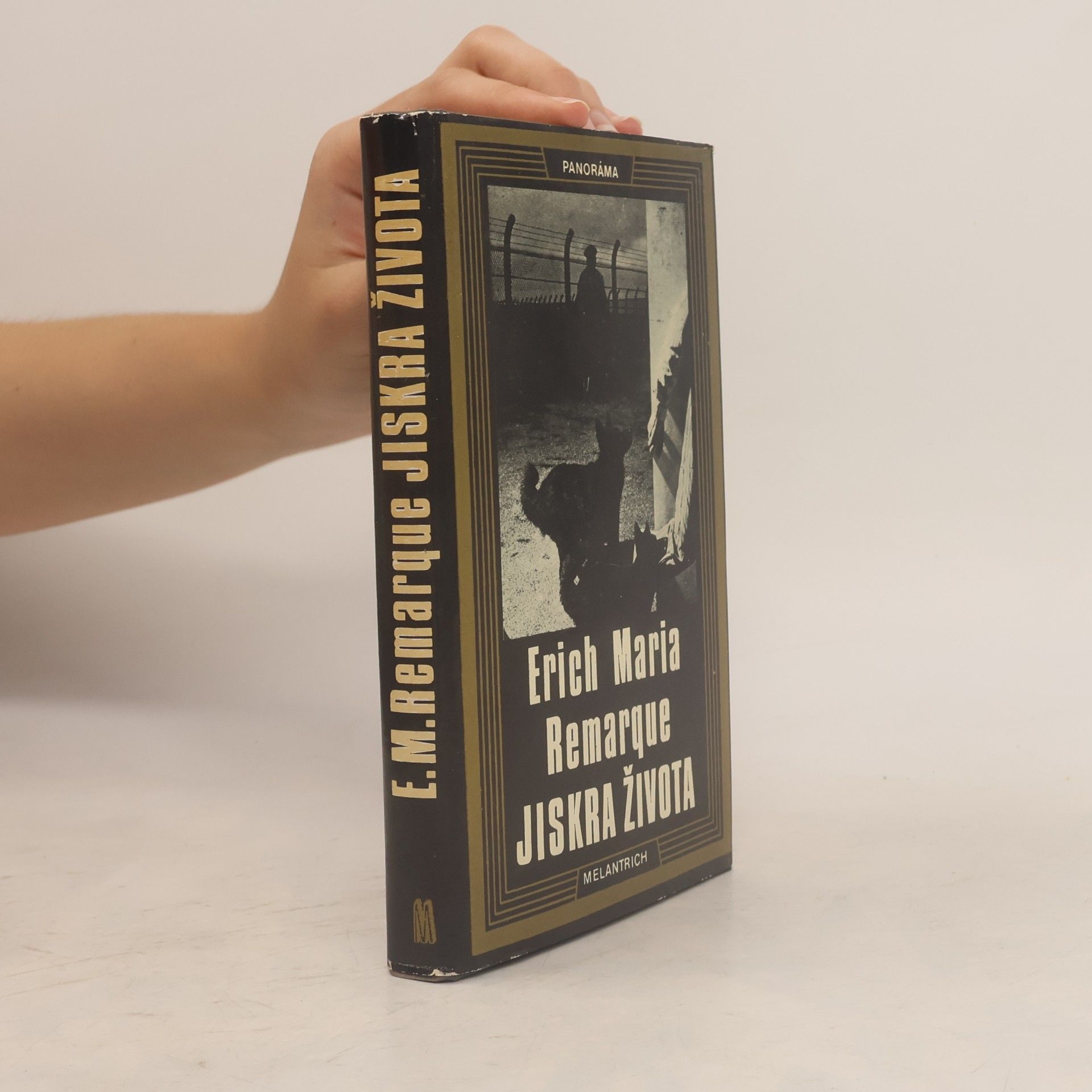 Erich Maria Remarque Jiskra života