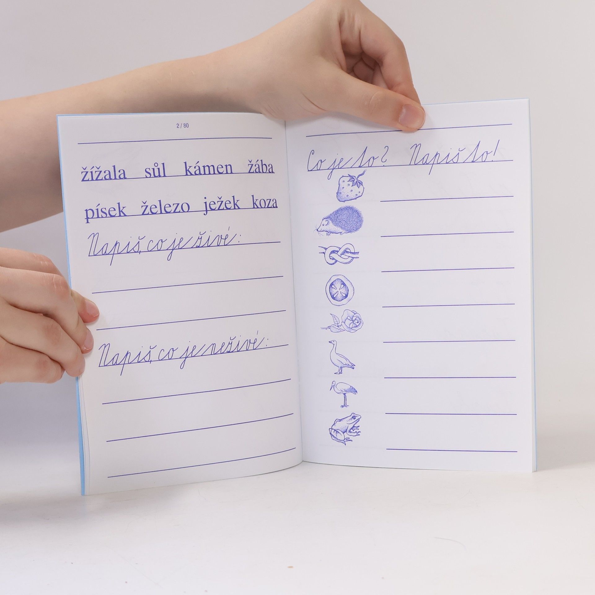 Kolektiv autorů Písanka 4