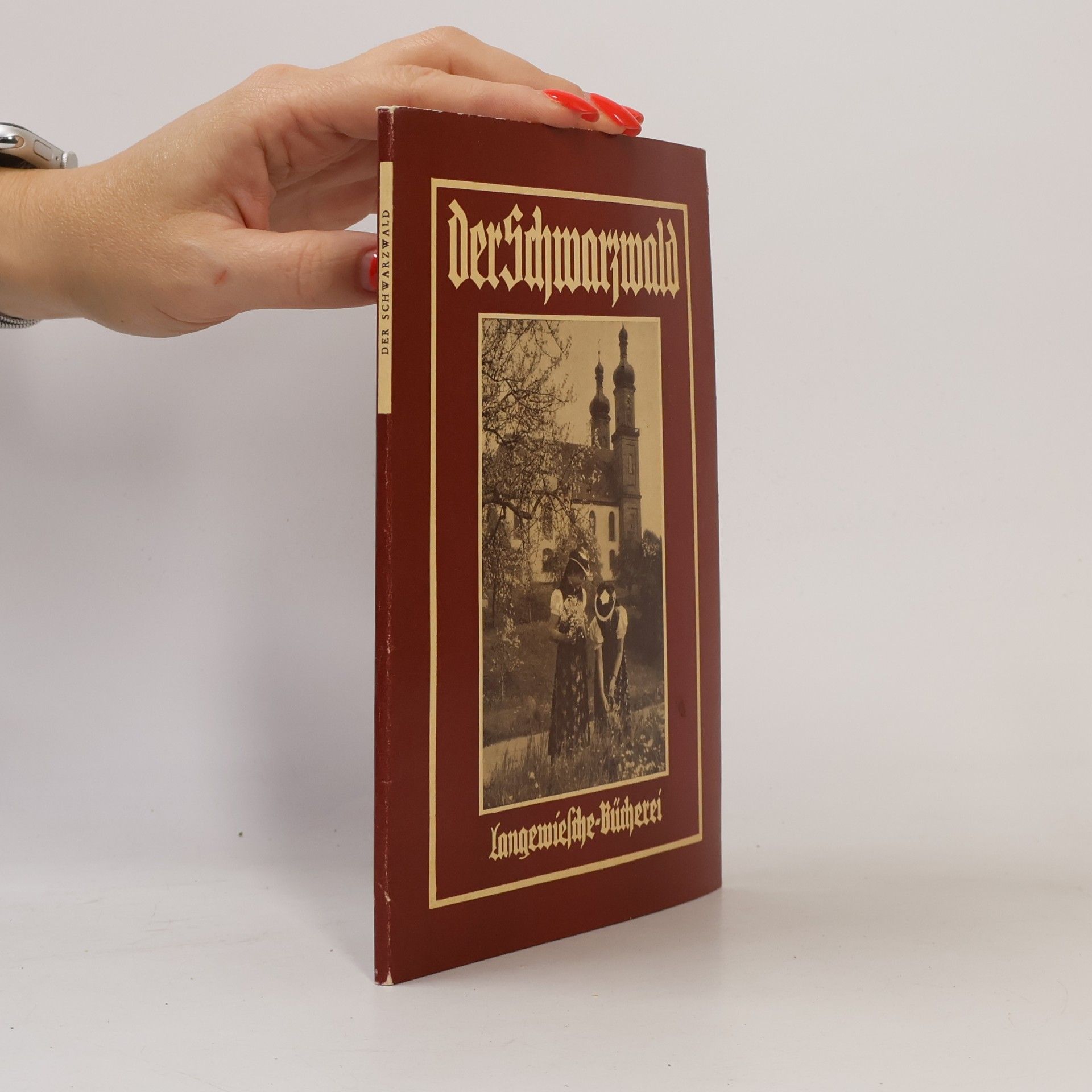 Autorenkollektiv Der Schwarzwald