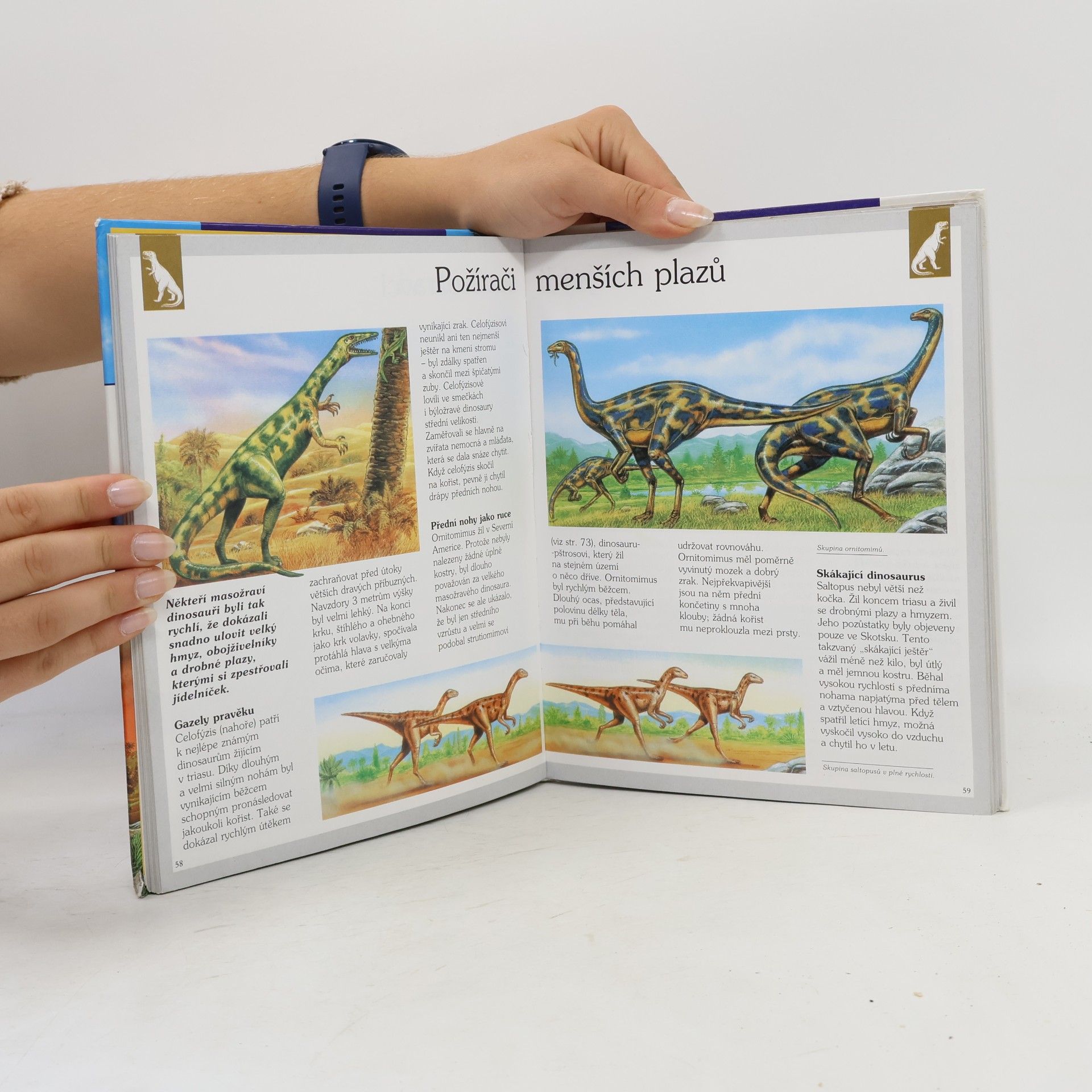 Laure Cambournac Dinosauři a další vyhynulá zvířata