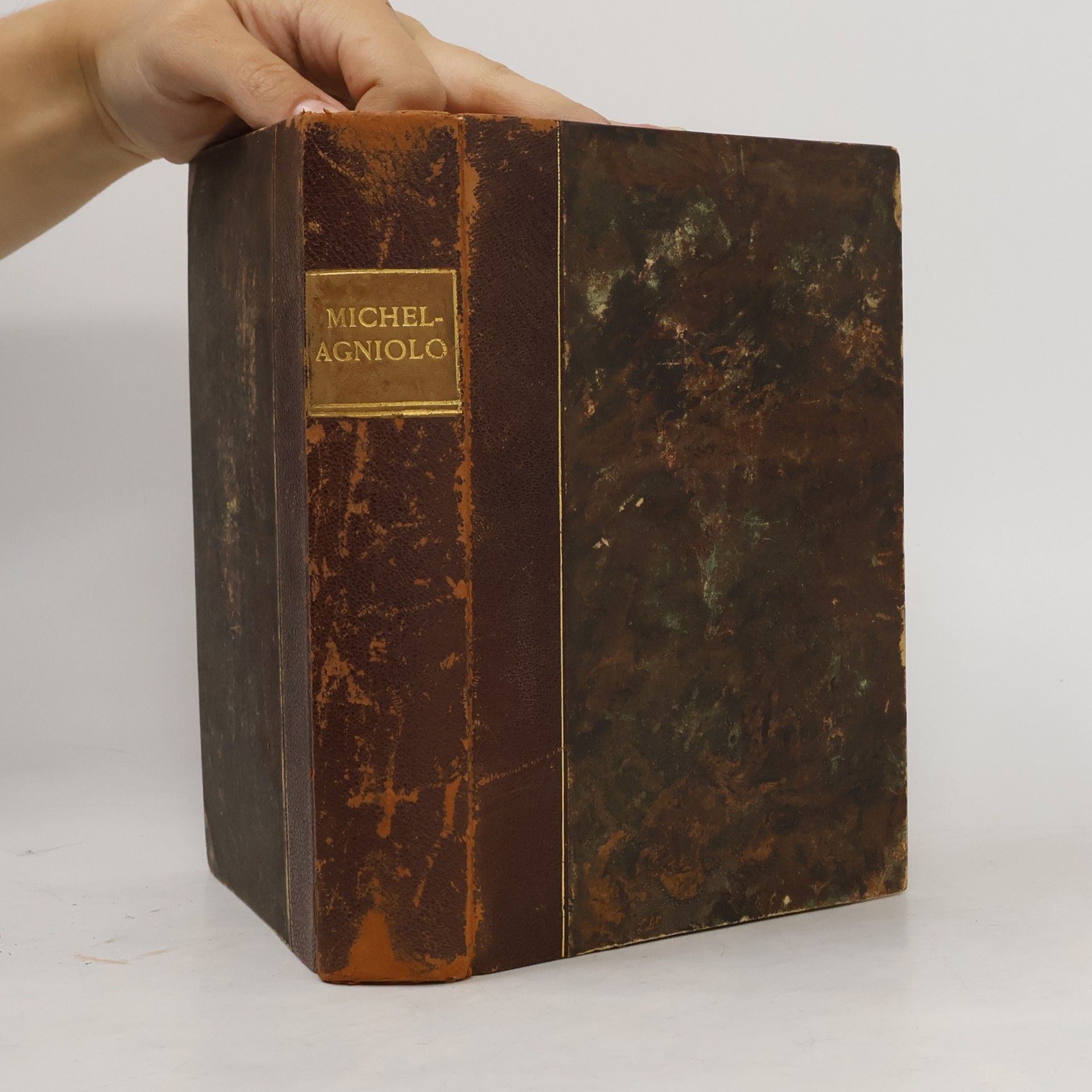 Michelagniolo Buonarroti Dichtungen